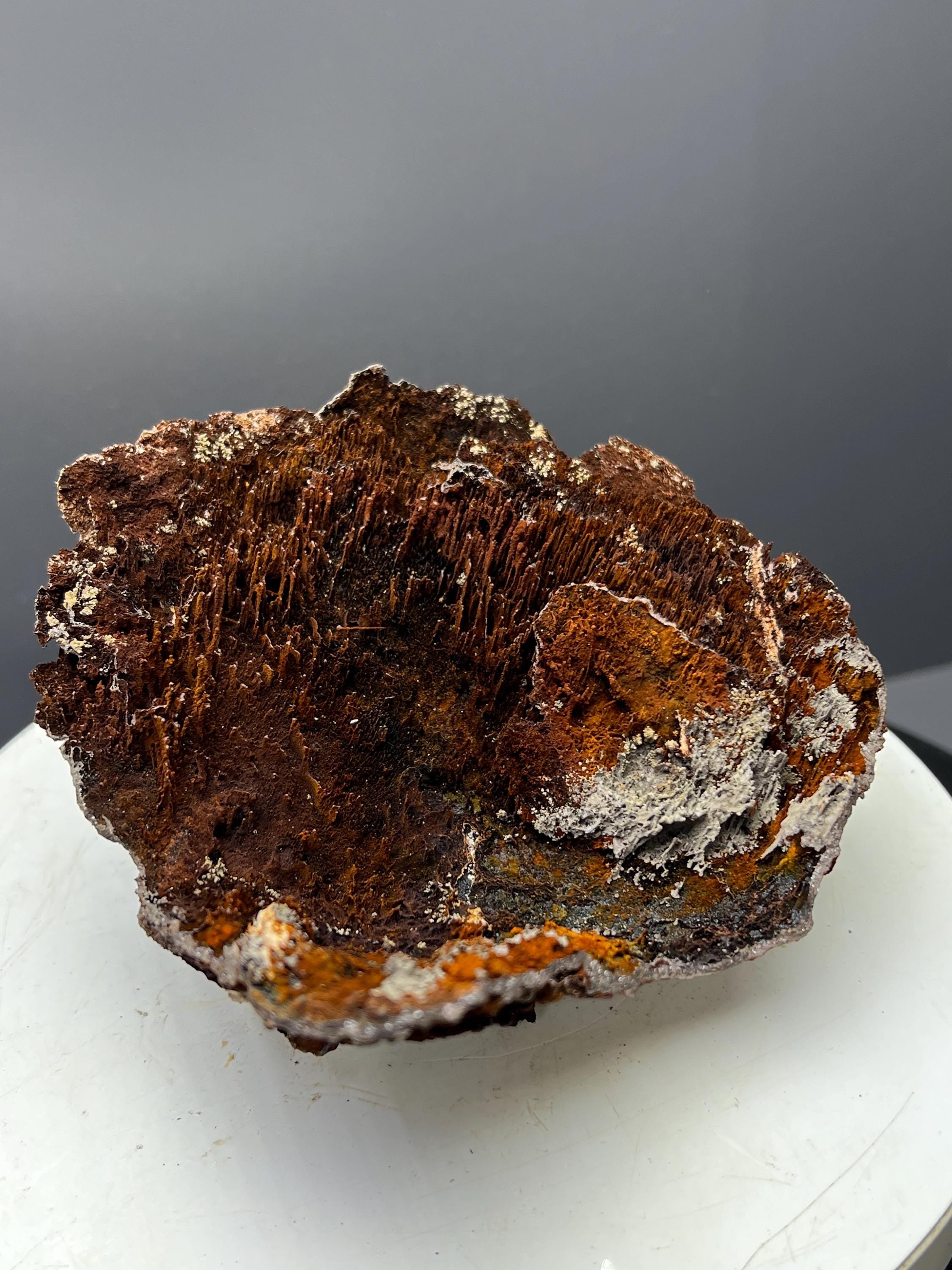 Museum Grade! Showy Limonite And Specularite With Stalactite Goethite Specimen - Crystal Gemstone AE 
