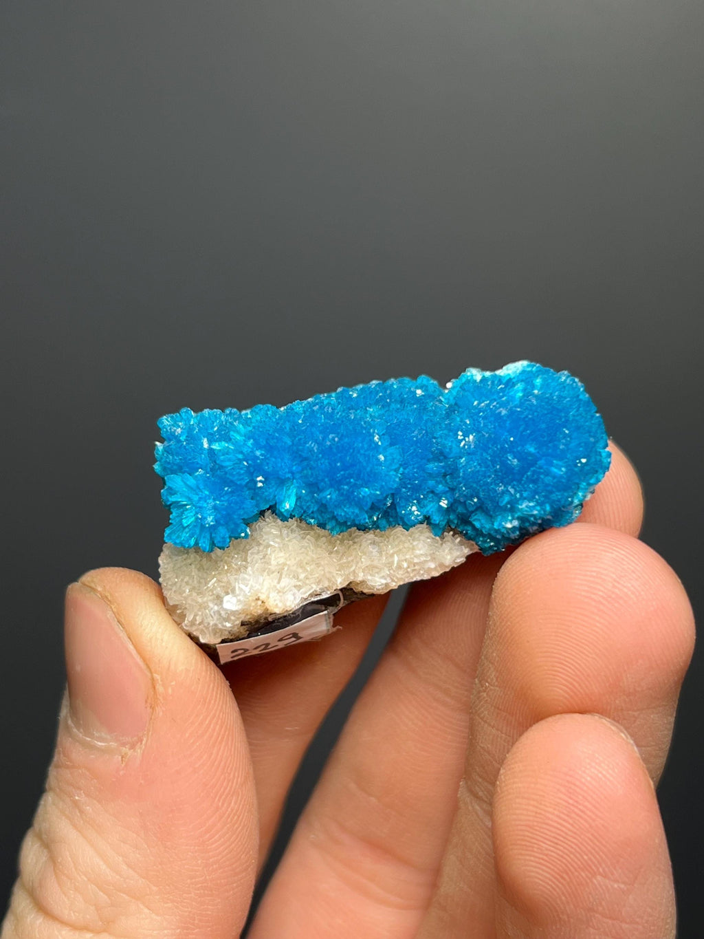 Museum Grade, Cavansite Specimen - India - Crystal Gemstone AE 