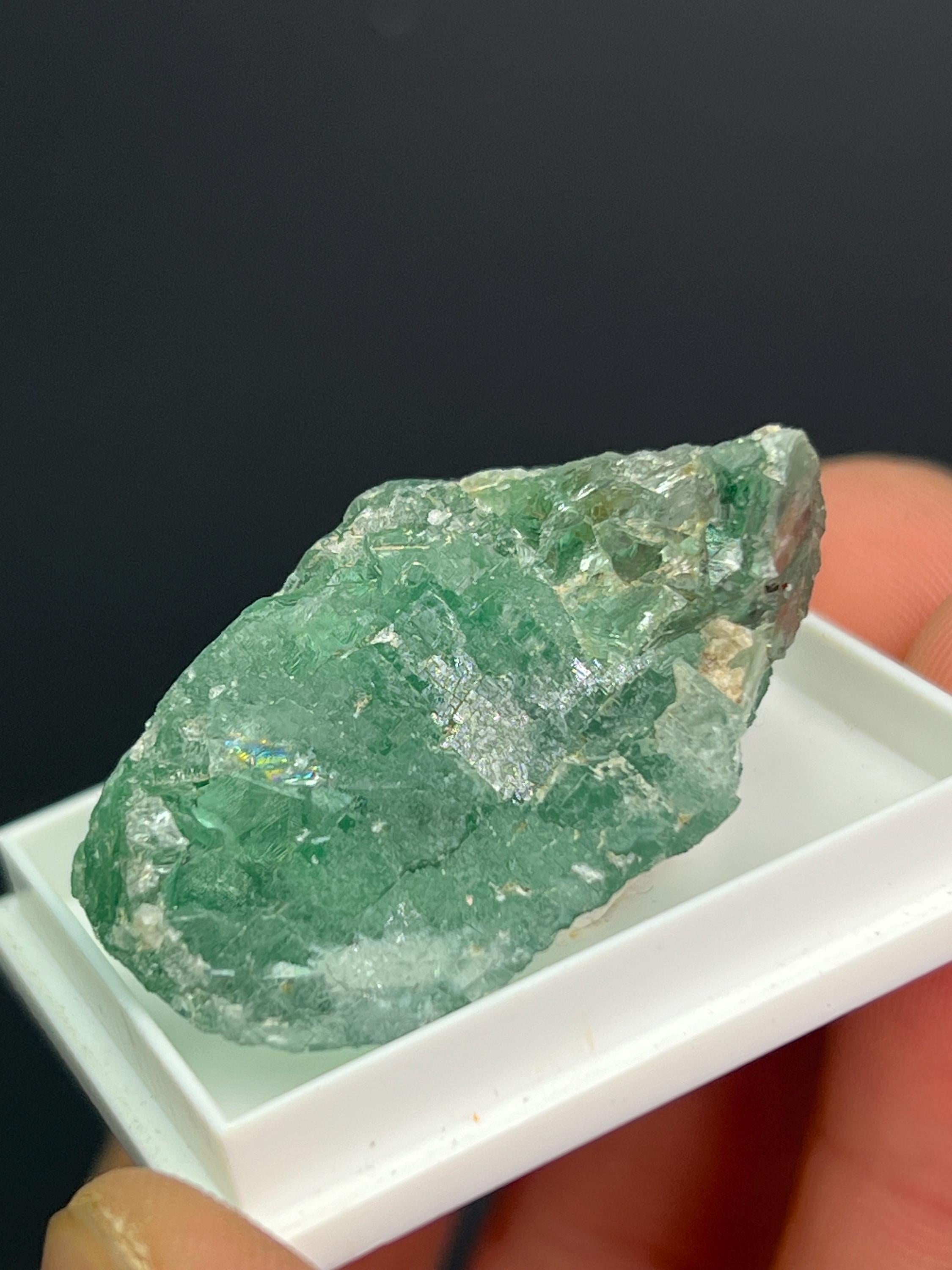 Green Fluorite Specimen - Crystal Gemstone AE 