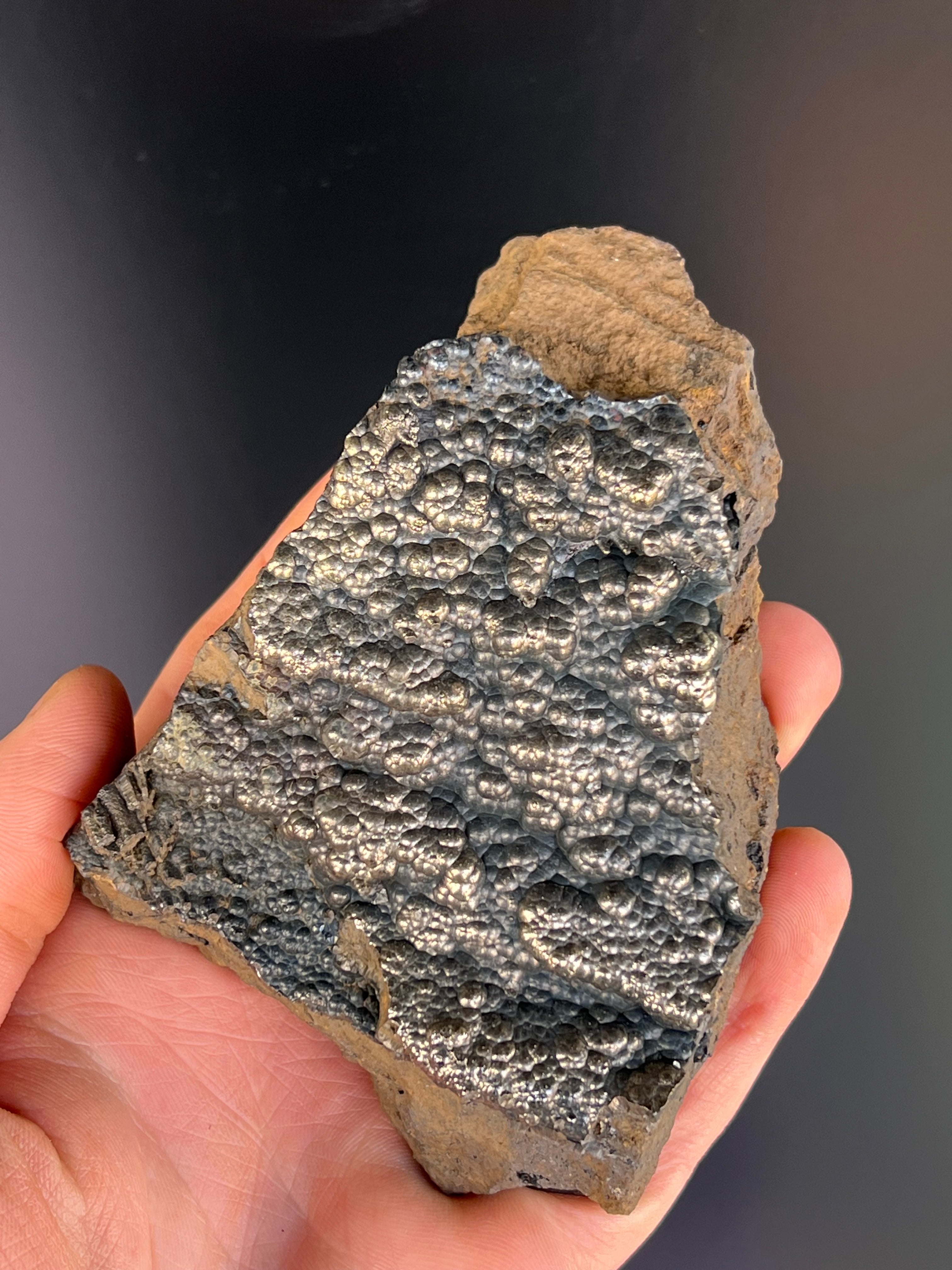 “Museum Grade” Golden Color 2 Sided Botryoidal Goethite