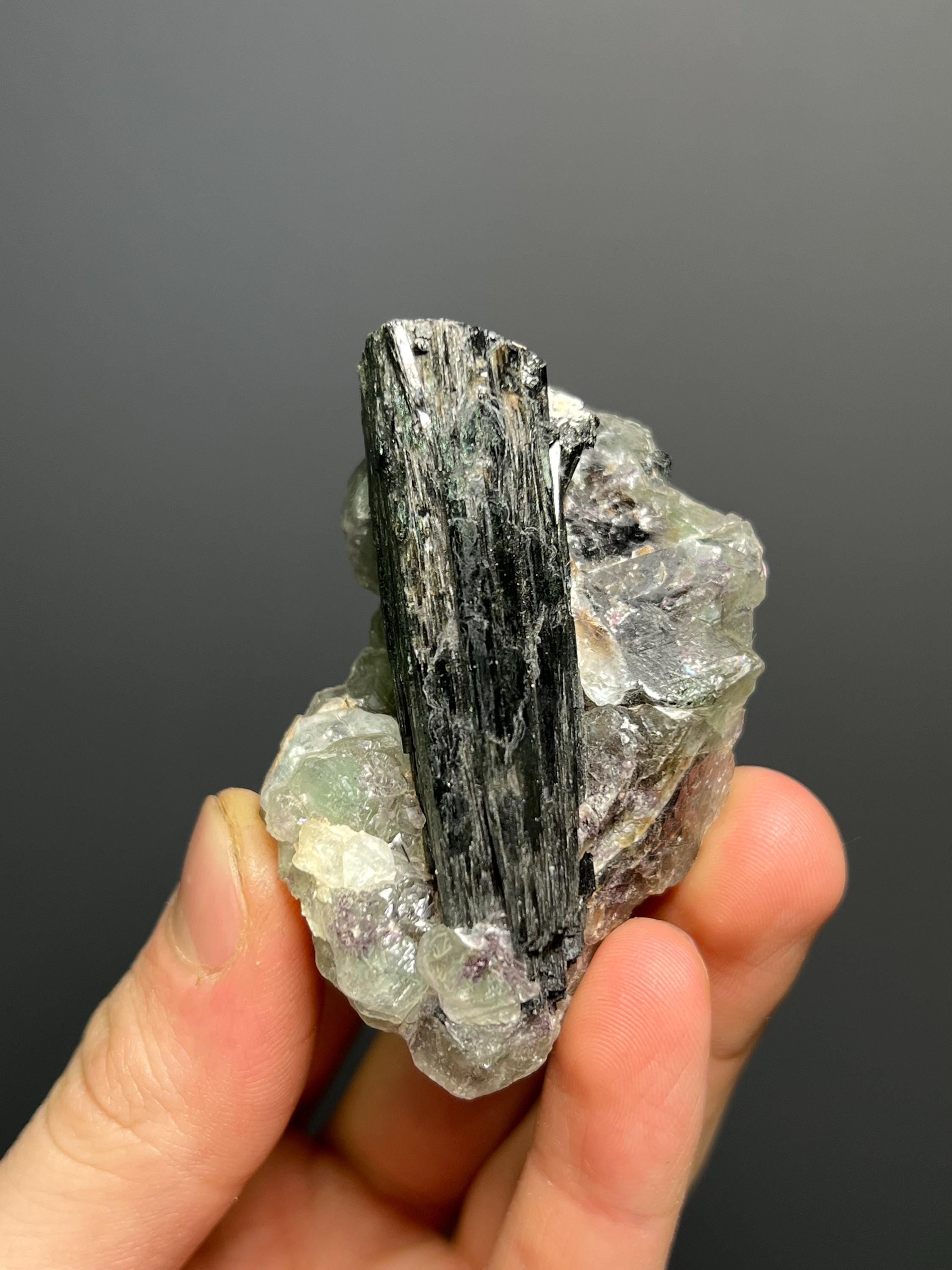 Fluorite On Tourmaline Schorl - Namibia - Crystal Gemstone AE 