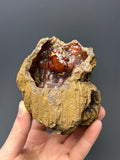 Red Fox Agate Specimen - Crystal Gemstone AE 