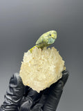 Crystal Quartz With Natural Stone Bird - Crystal Gemstone AE 
