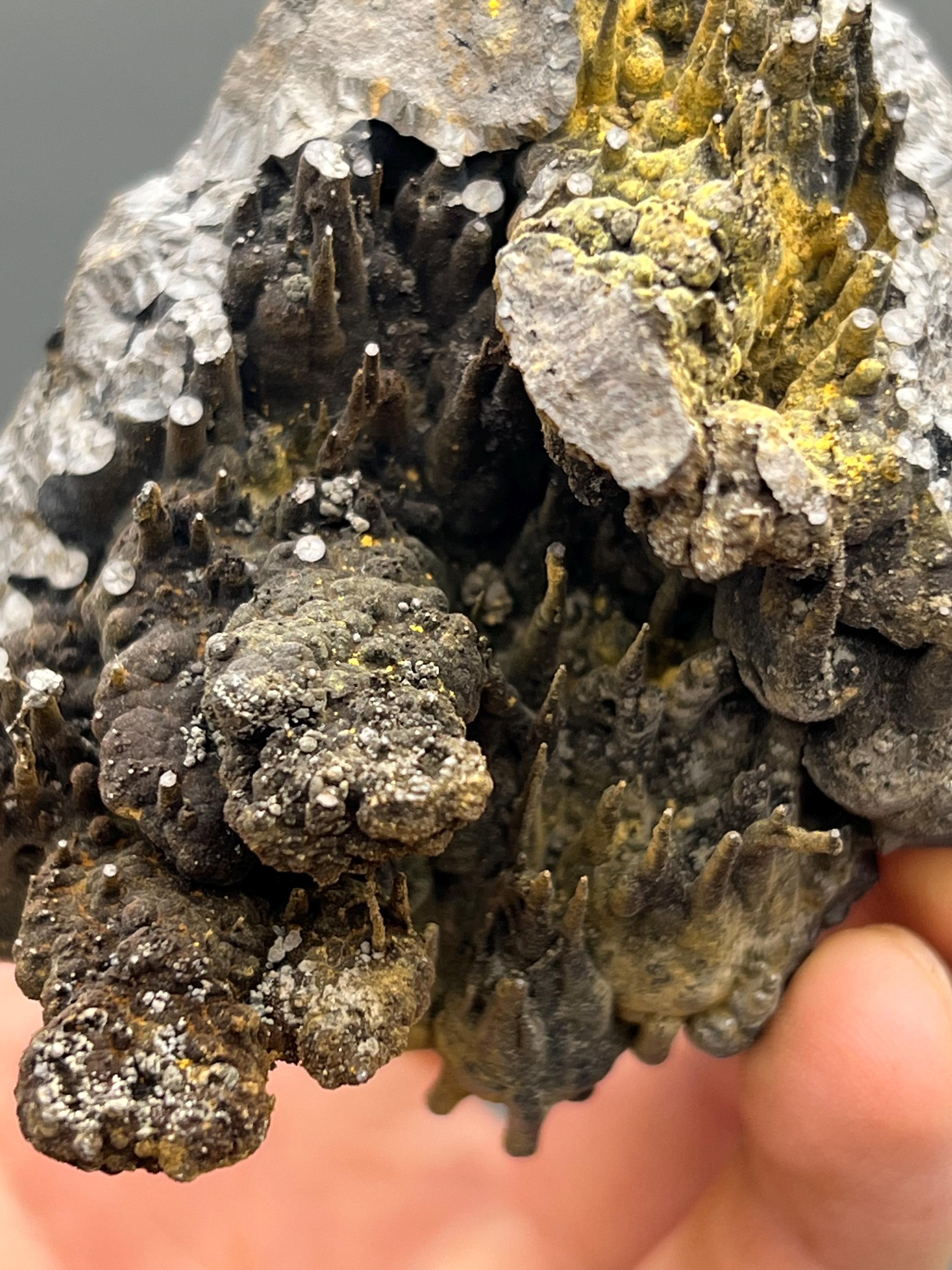 Limonite On Stalactite Goethite Specimen - Crystal Gemstone AE 