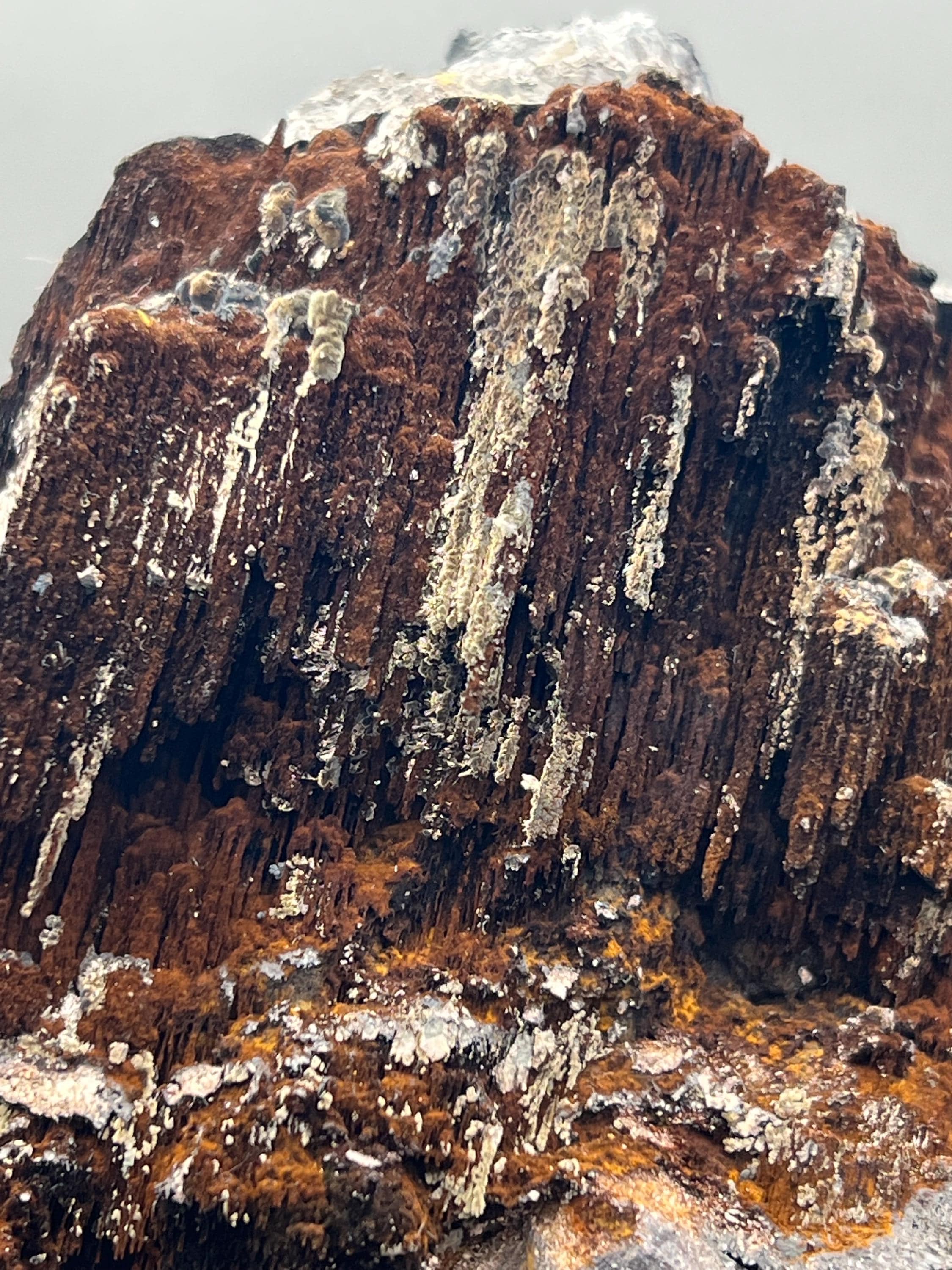Limonite And Specularite On Stalactite Goethite - Crystal Gemstone AE 
