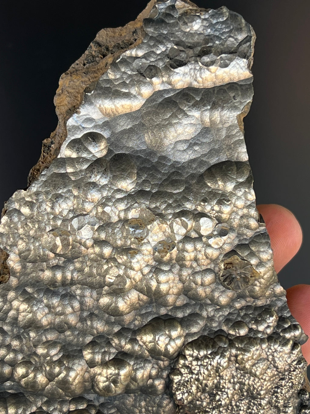 “Museum Grade” Golden Color 2 Sided Botryoidal Goethite