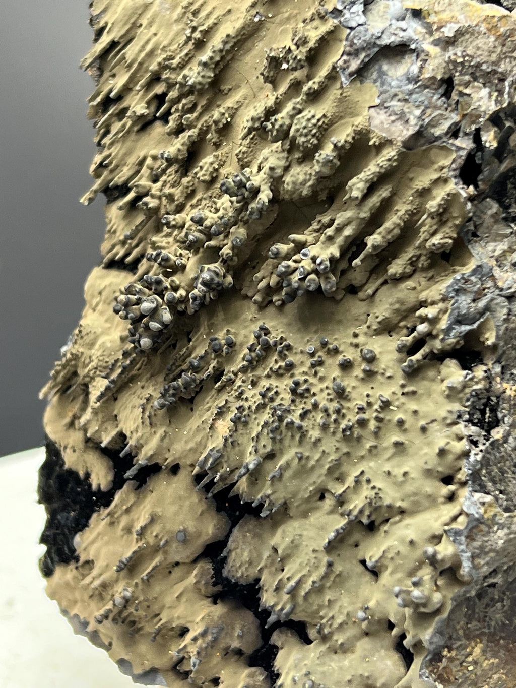 Very Special And Showy Specularite On Stalactite Goethite - Crystal Gemstone AE 