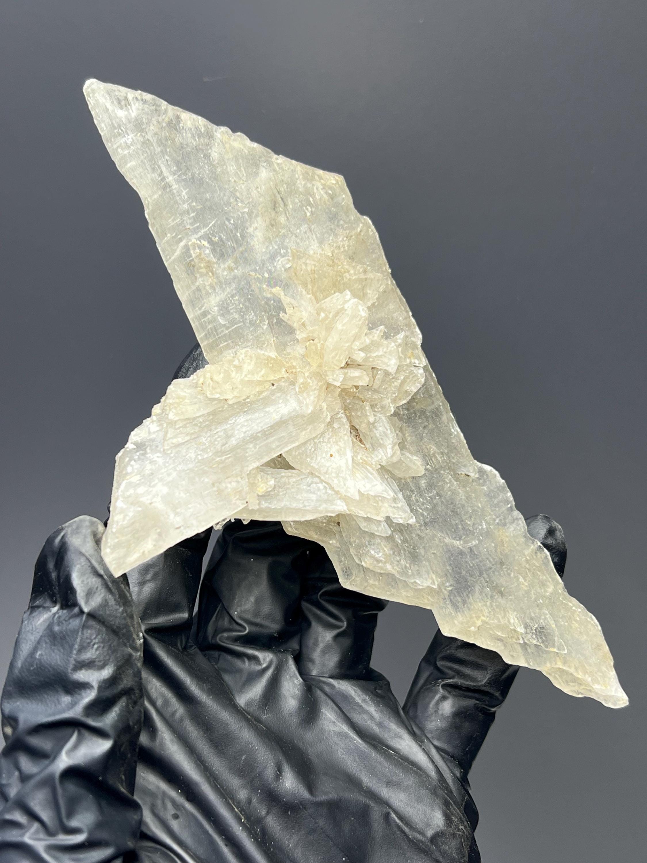 Gypsum Selenite Crystal Specimen - Crystal Gemstone AE 