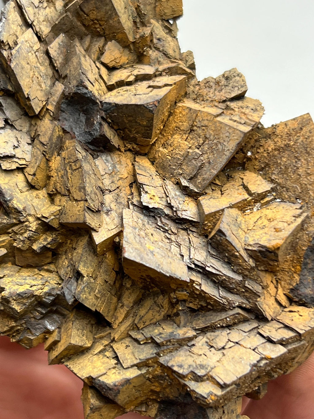 Museum quality, Very showy limonite on iron siderite, special collections piece - Crystal Gemstone AE 