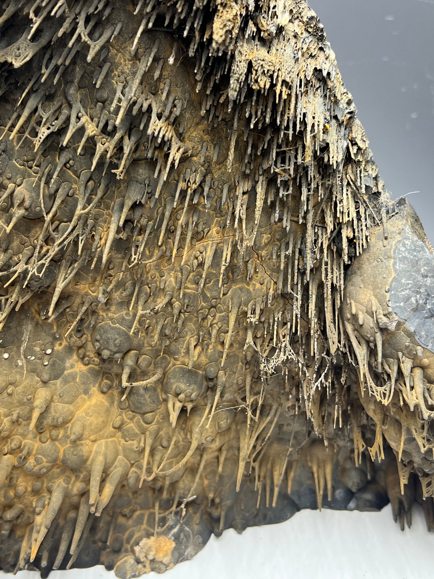 Very Unique! Museum Quality! Extra Big Stalactite Hematite