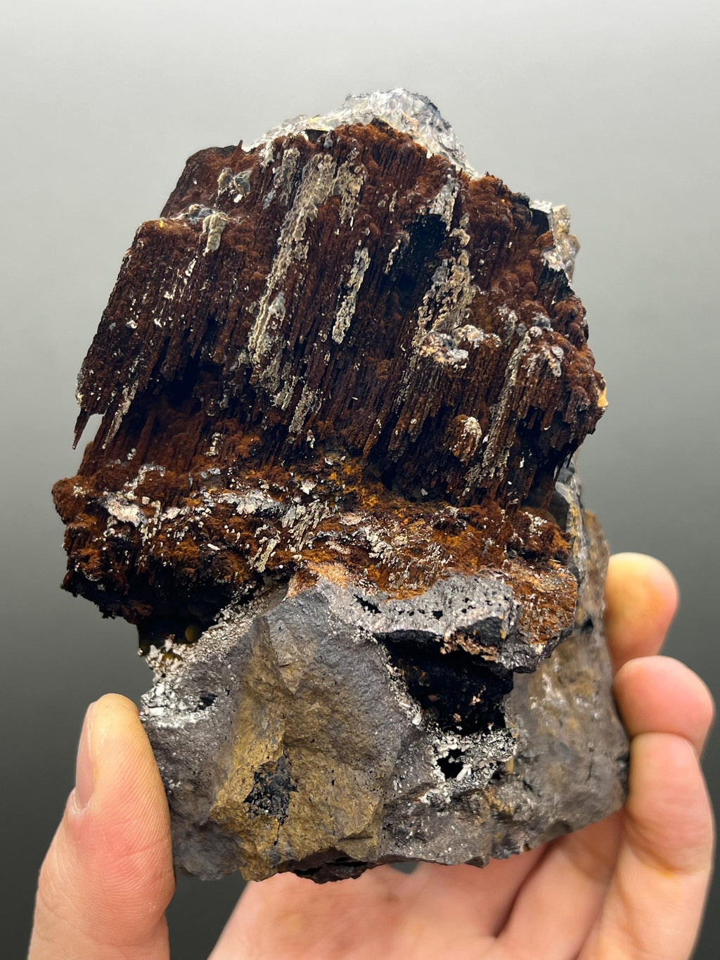 Limonite And Specularite On Stalactite Goethite - Crystal Gemstone AE 