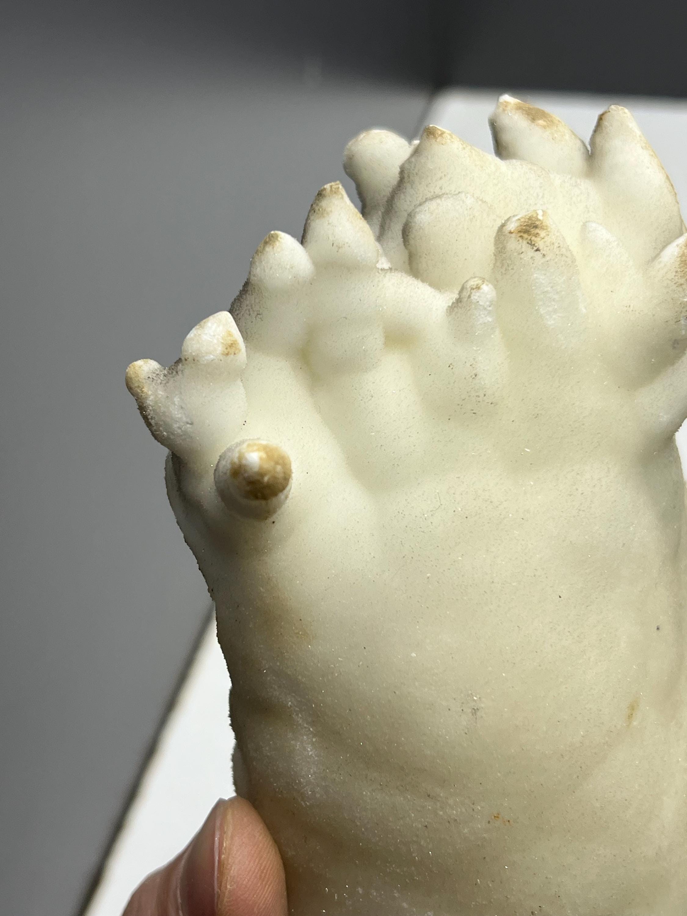 Small Stalactites Aragonite Mineral, From Turkey - Crystal Gemstone AE 