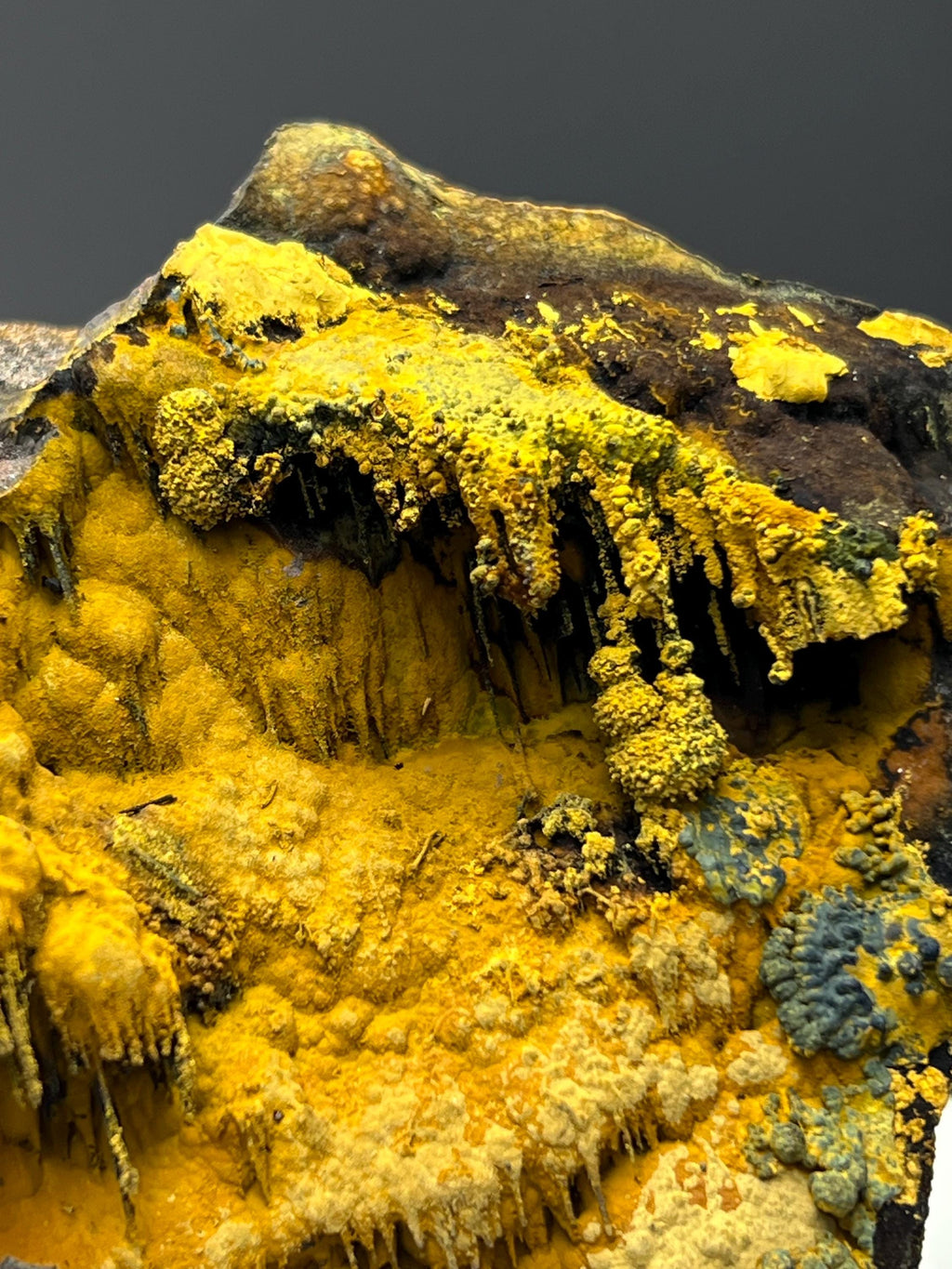 Very Special, Limonite With Botryoidal And Stalactite Formation Goethite - Crystal Gemstone AE 