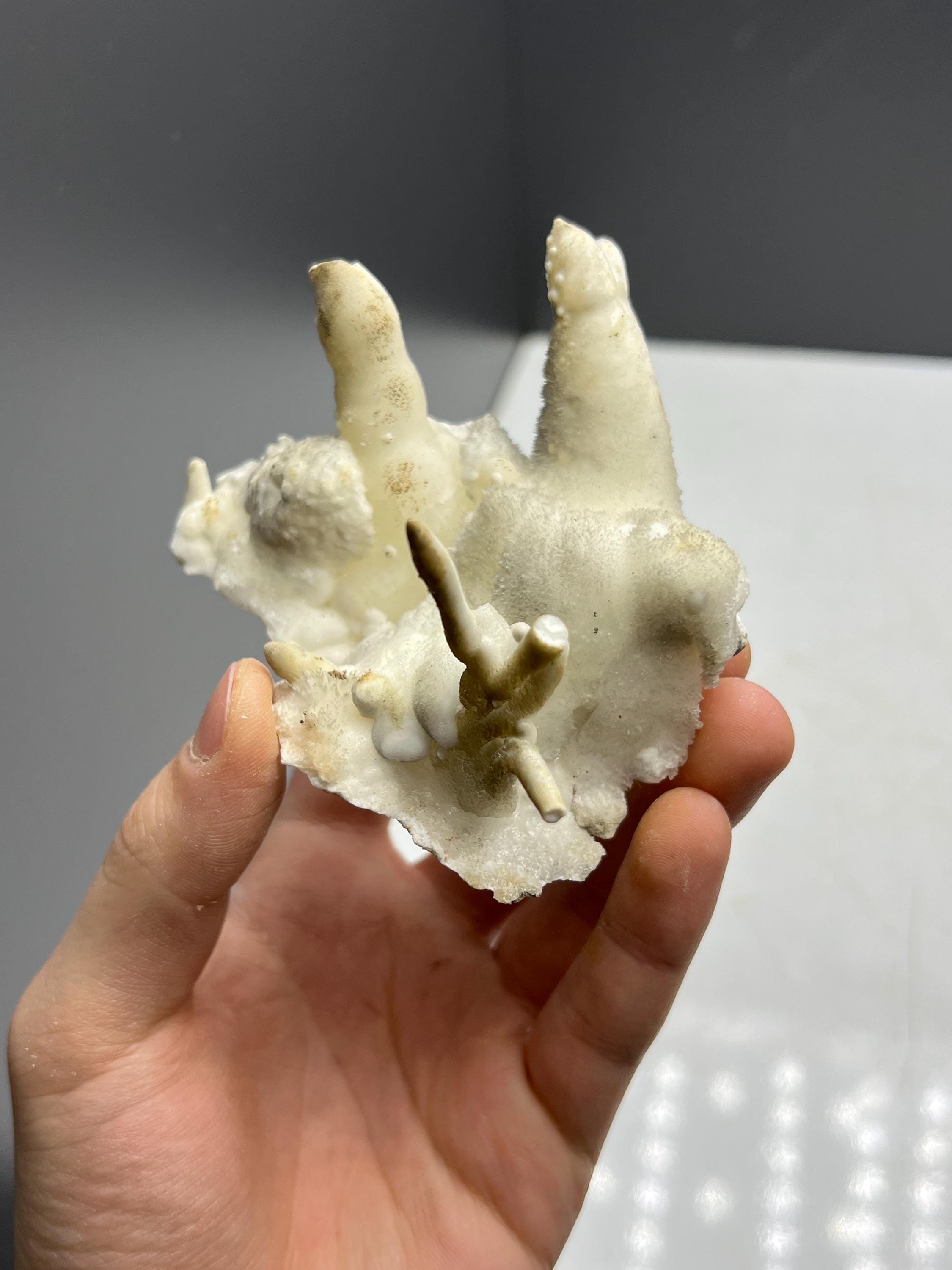 Special Formed Stalactite Aragonite Mineral, From Turkey - Crystal Gemstone AE 