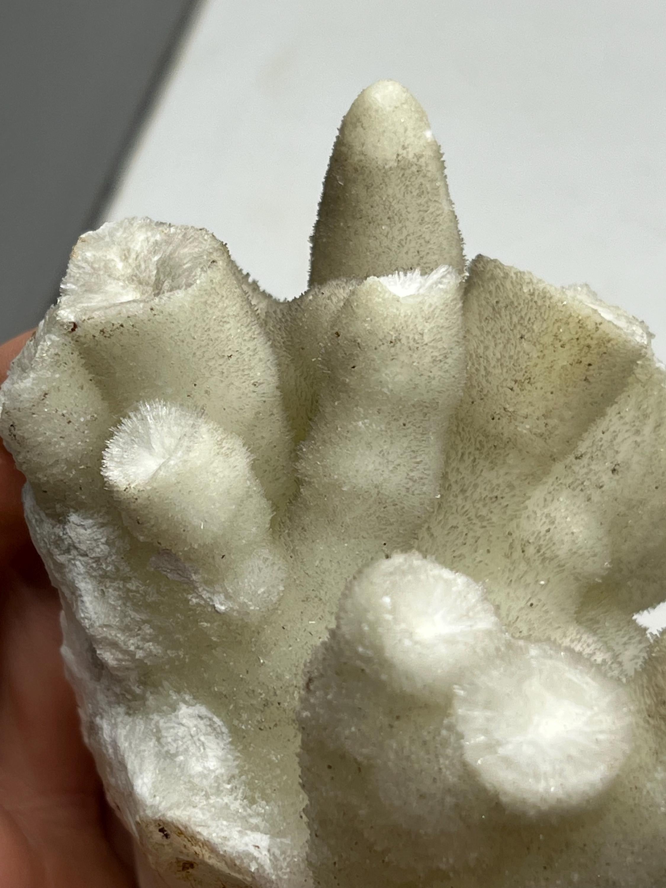 Special And Showy Stalactite Aragonite Mineral, From Turkey - Crystal Gemstone AE 