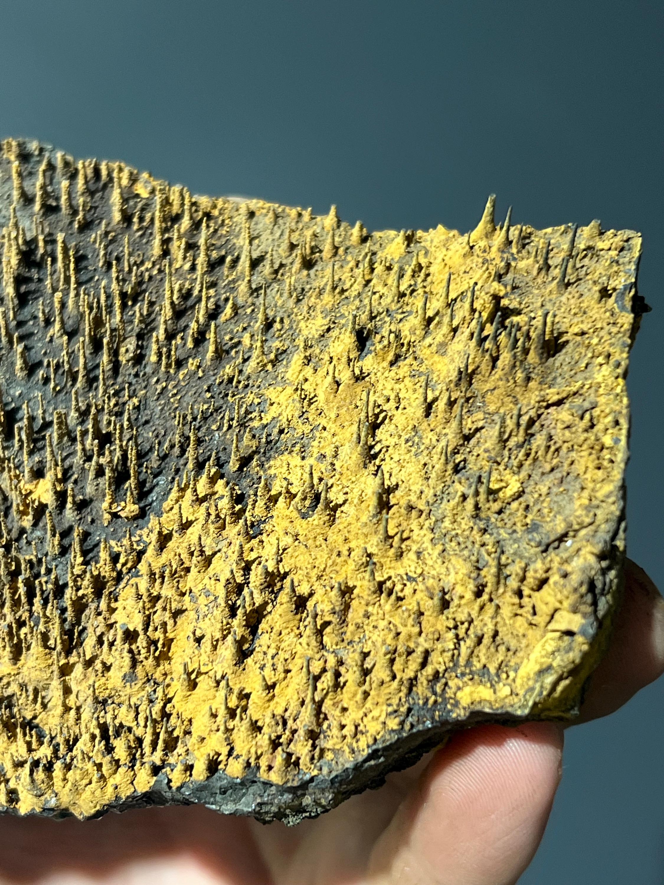 Museum Piece, Limonite With Stalactite Goethite - Crystal Gemstone AE 