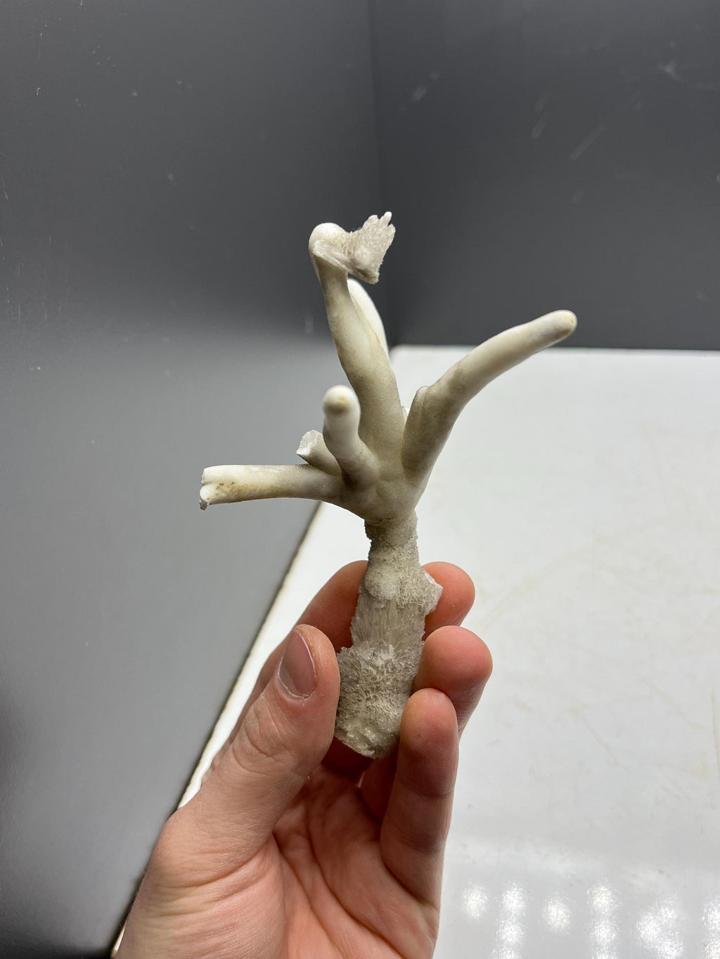 Very Special Formed Stalactite Aragonite Mineral, From Turkey - Crystal Gemstone AE 