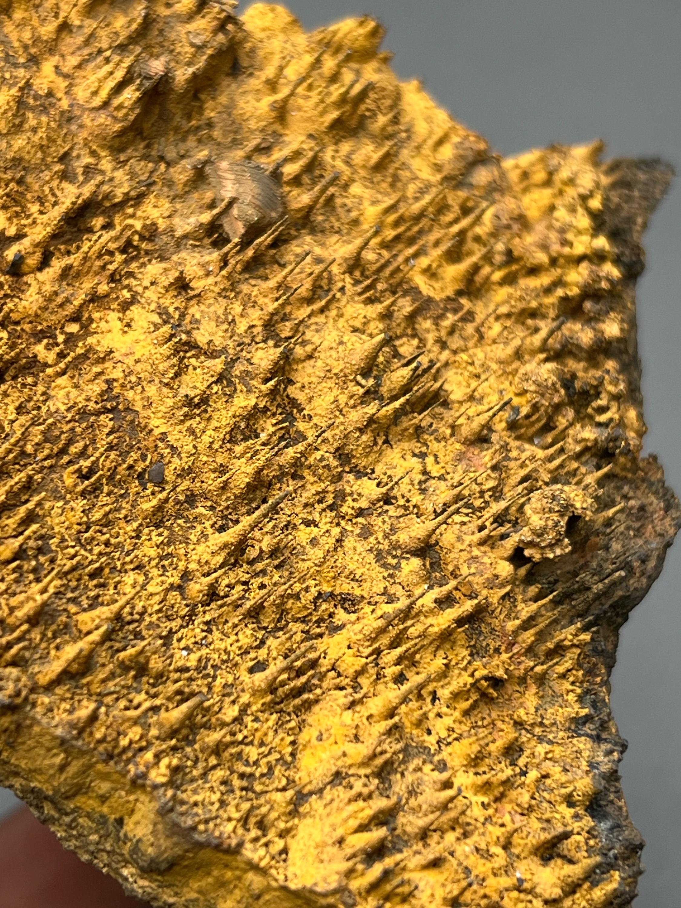 Museum quality, Very Showy Limonite On Stalactite Hematite, Special Collection Piece - Crystal Gemstone AE 