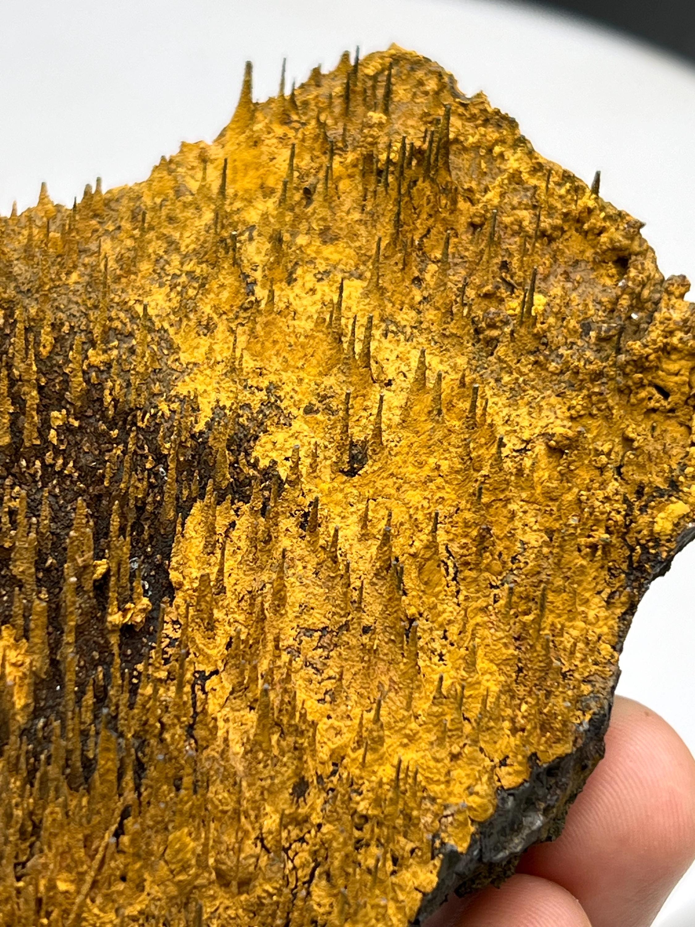 Special Formation! Limonite On Stalactite Hematite - Crystal Gemstone AE 