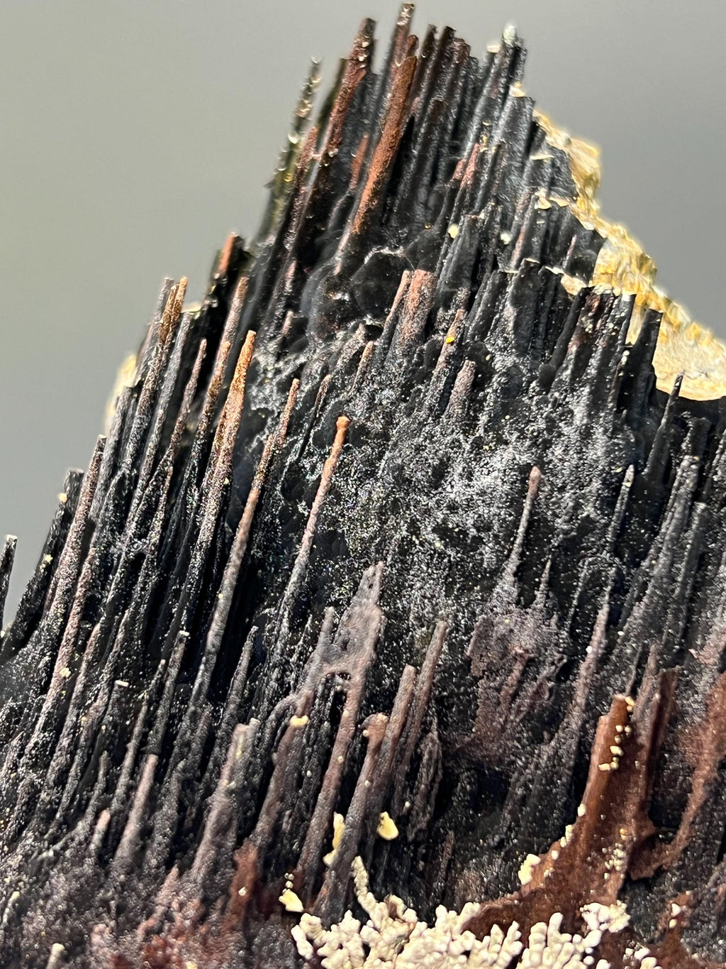 Museum Grade, Very Showy Limonite And Specularite With Stalactite Goethite Specimen - Crystal Gemstone AE 
