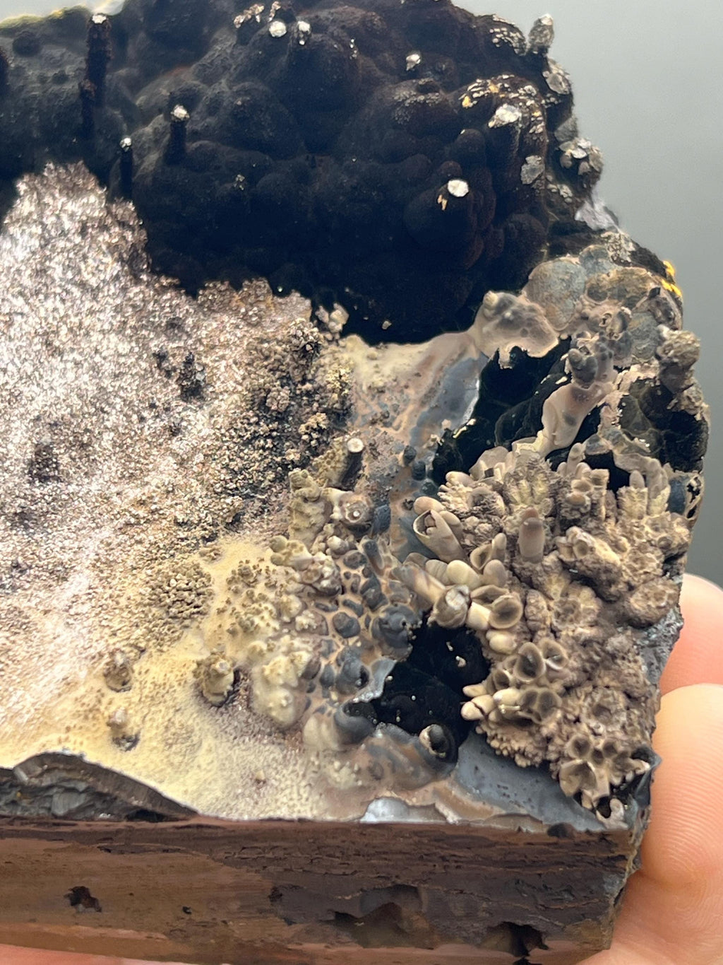 Very Special, Limonite And Specularite On Stalactite And Botryoidal Formed Goethite - Crystal Gemstone AE 