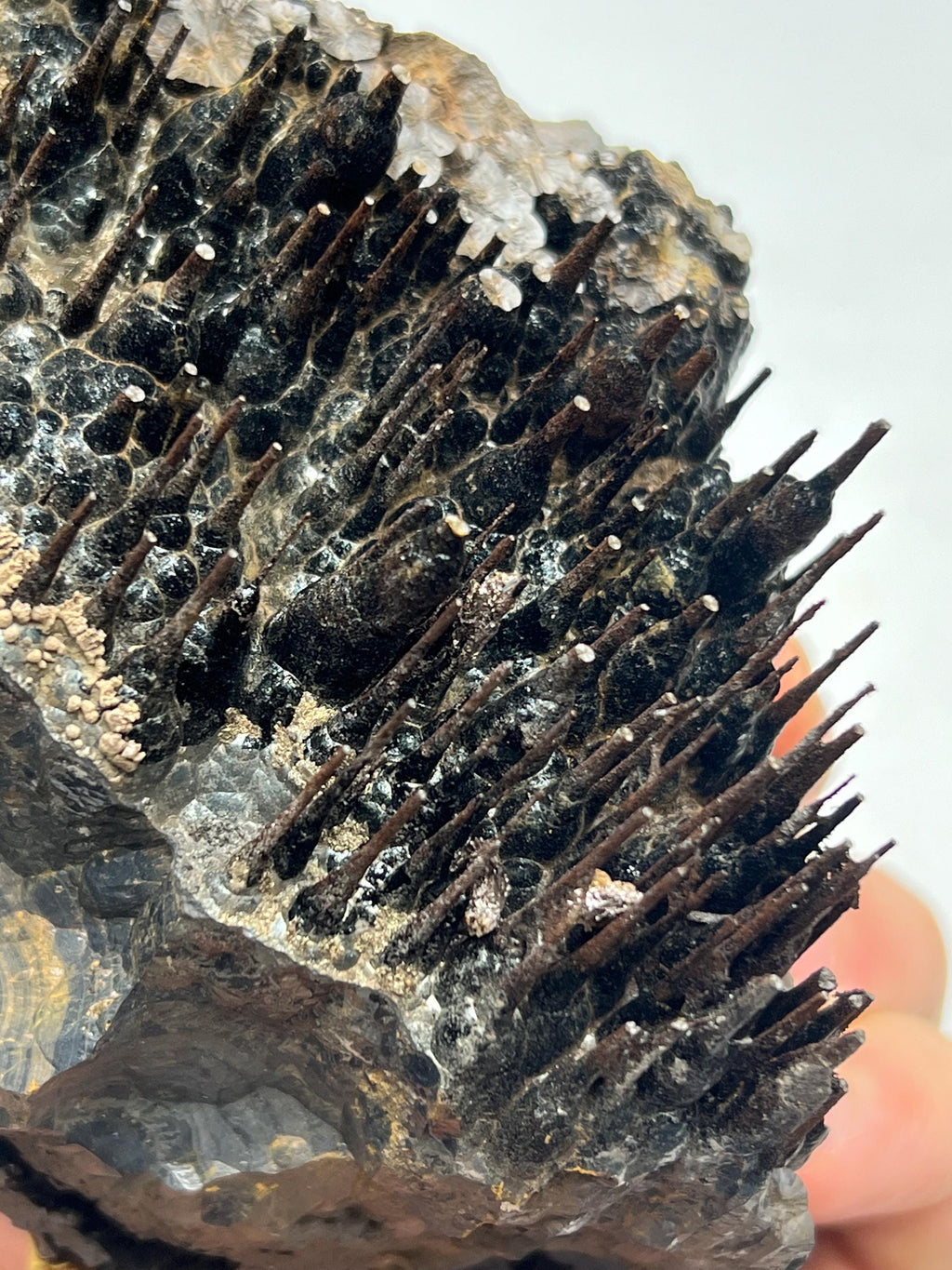 Museum quality, Very showy limonite and specularite on stalactite Goethite, special collections piece - Crystal Gemstone AE 
