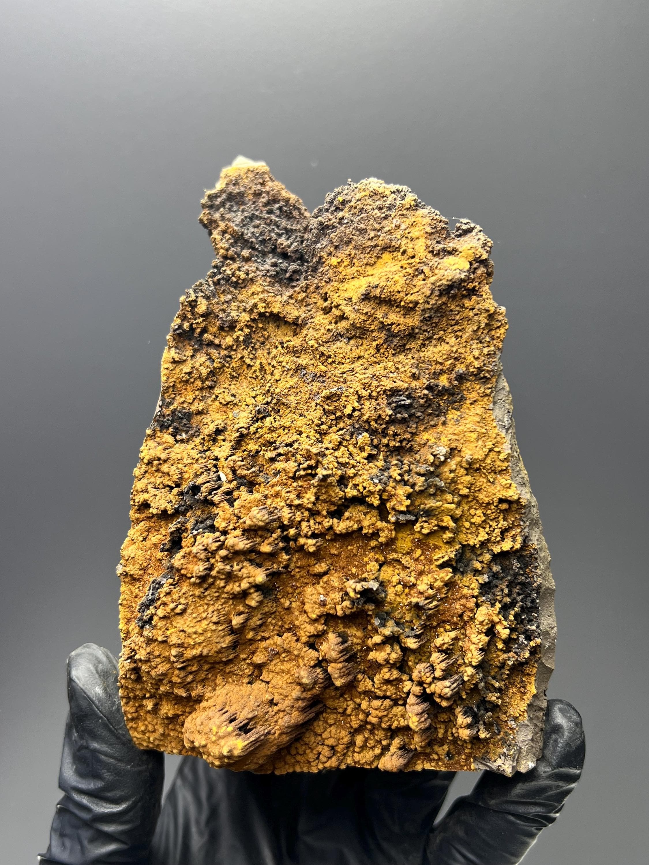 Limonite With Small Stalactites Goethite Specimen - Crystal Gemstone AE 