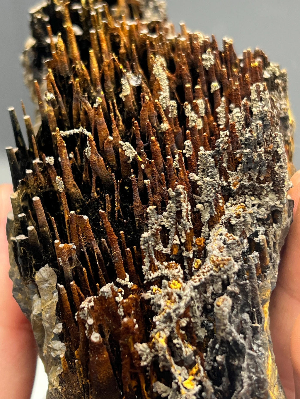Museum quality, Very showy limonite and specularite with stalactite Goethite, special collections piece - Crystal Gemstone AE 