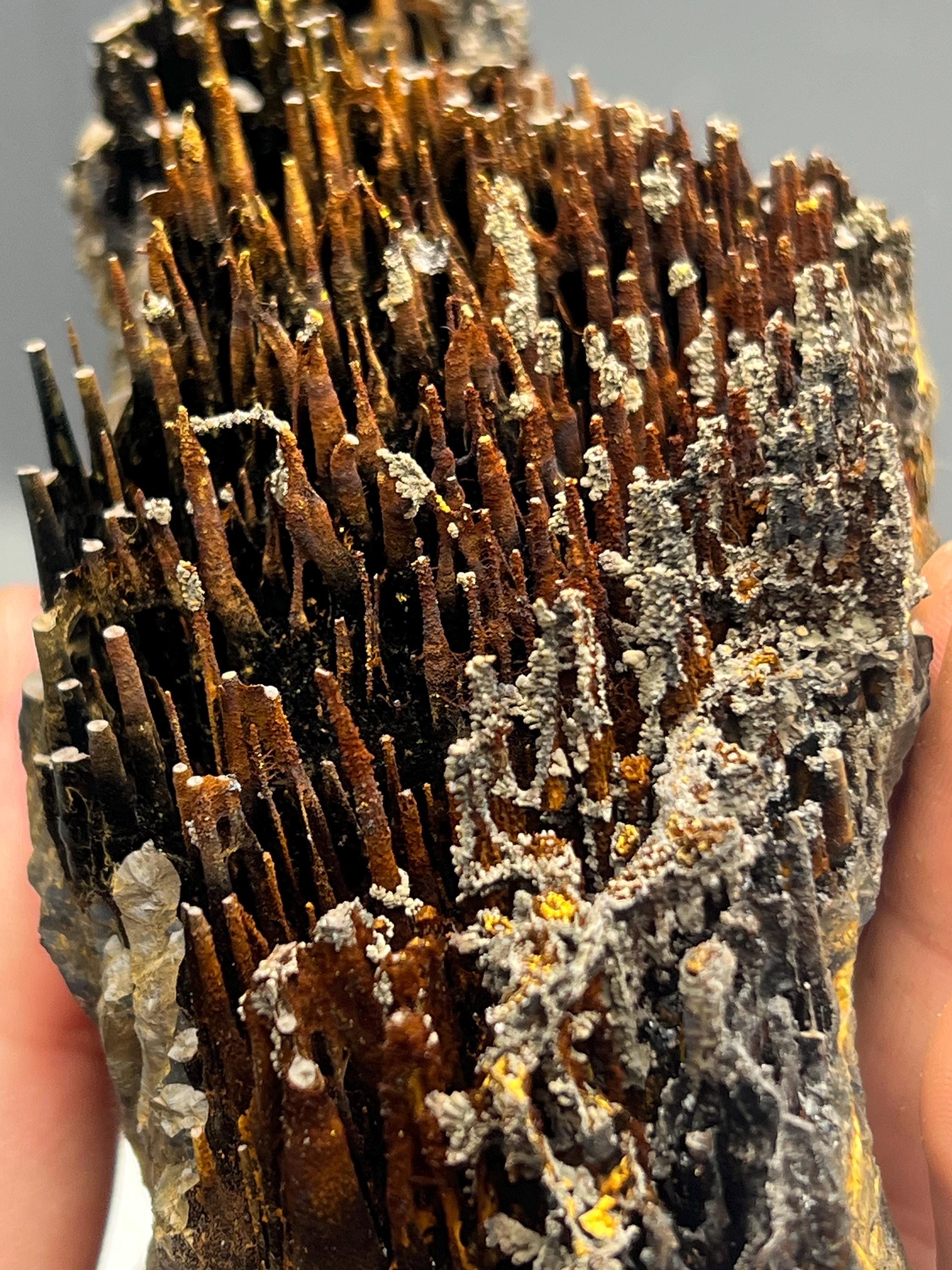 Museum quality, Very showy limonite and specularite with stalactite Goethite, special collections piece - Crystal Gemstone AE 