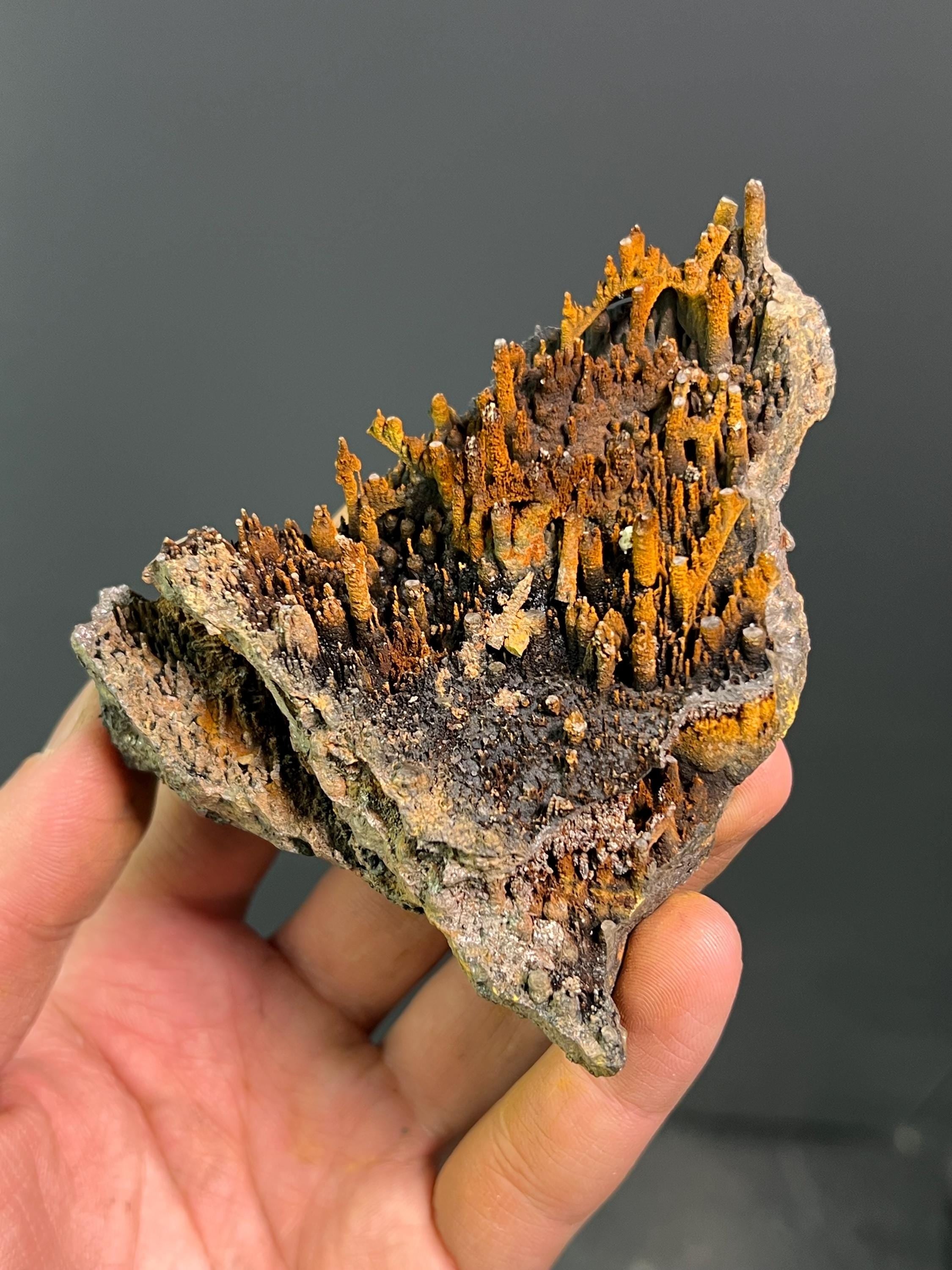 Museum Grade Limonite On Stalactite Goethite - Crystal Gemstone AE 