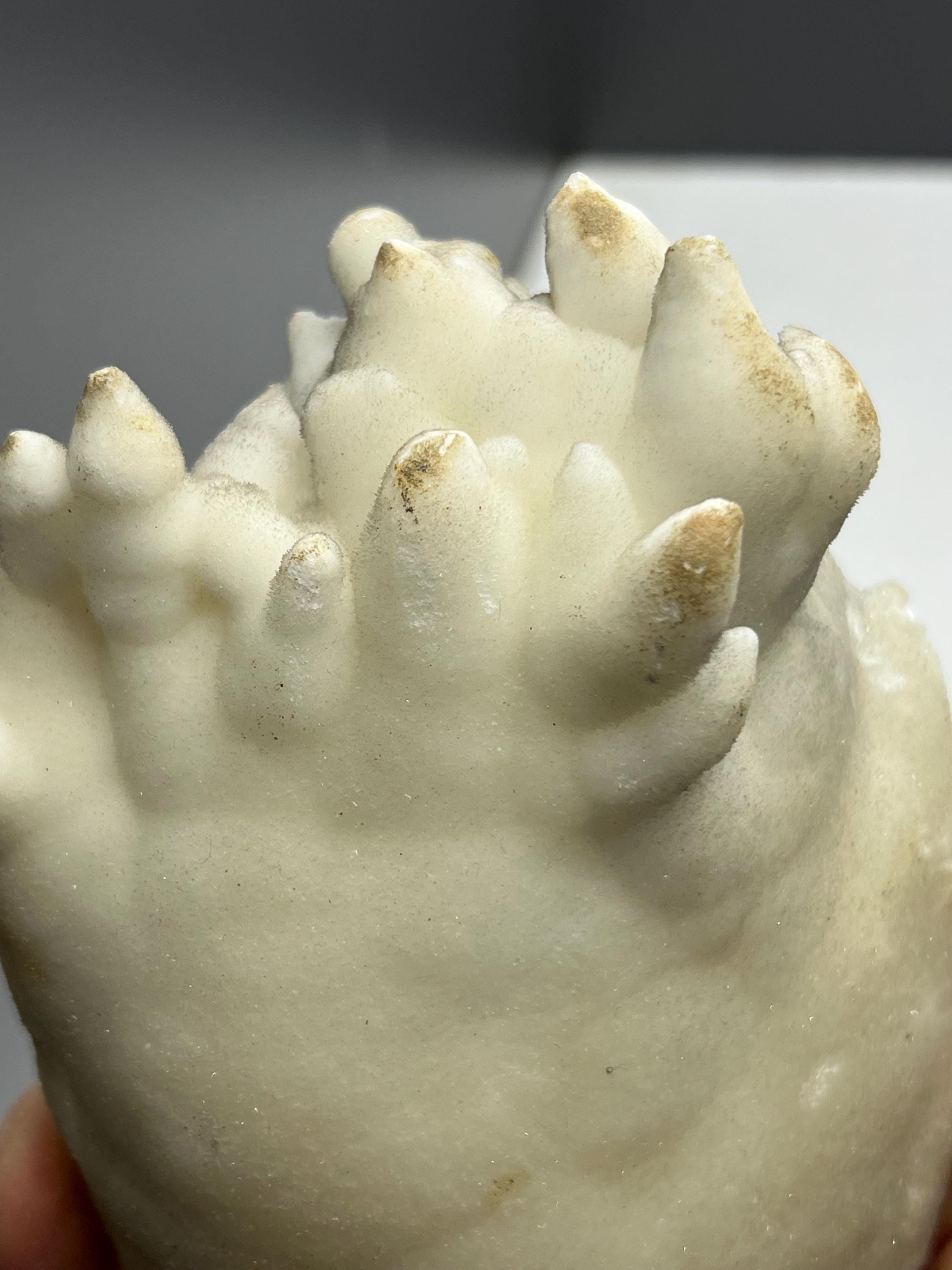 Small Stalactites Aragonite Mineral, From Turkey - Crystal Gemstone AE 
