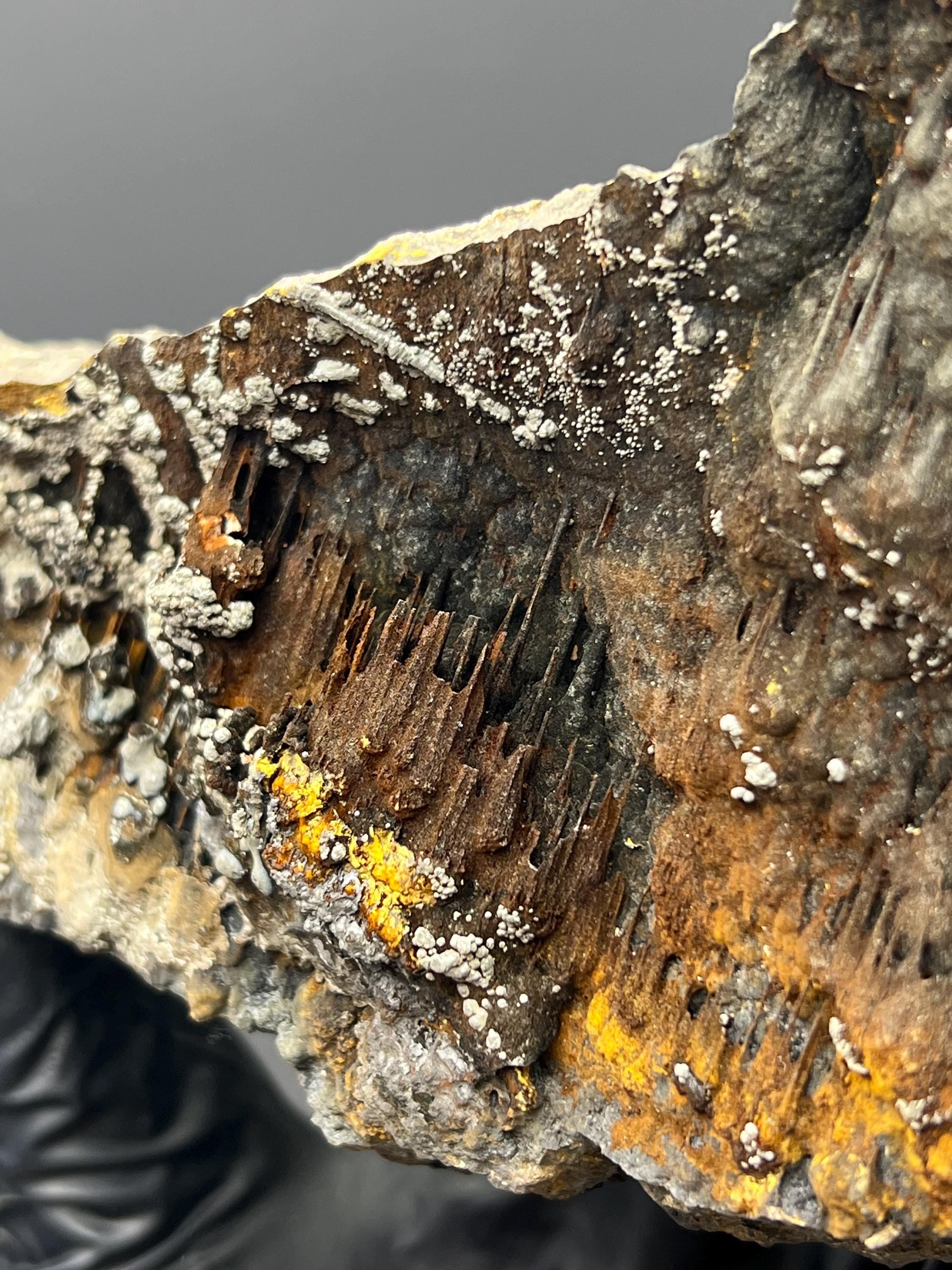 Museum Grade Limonite And Specularite On Stalactite Goethite - Crystal Gemstone AE 