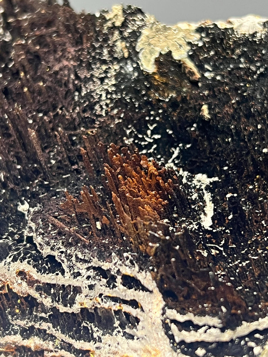 Showy, Limonite With Stalactite Goethite Specimen - Crystal Gemstone AE 