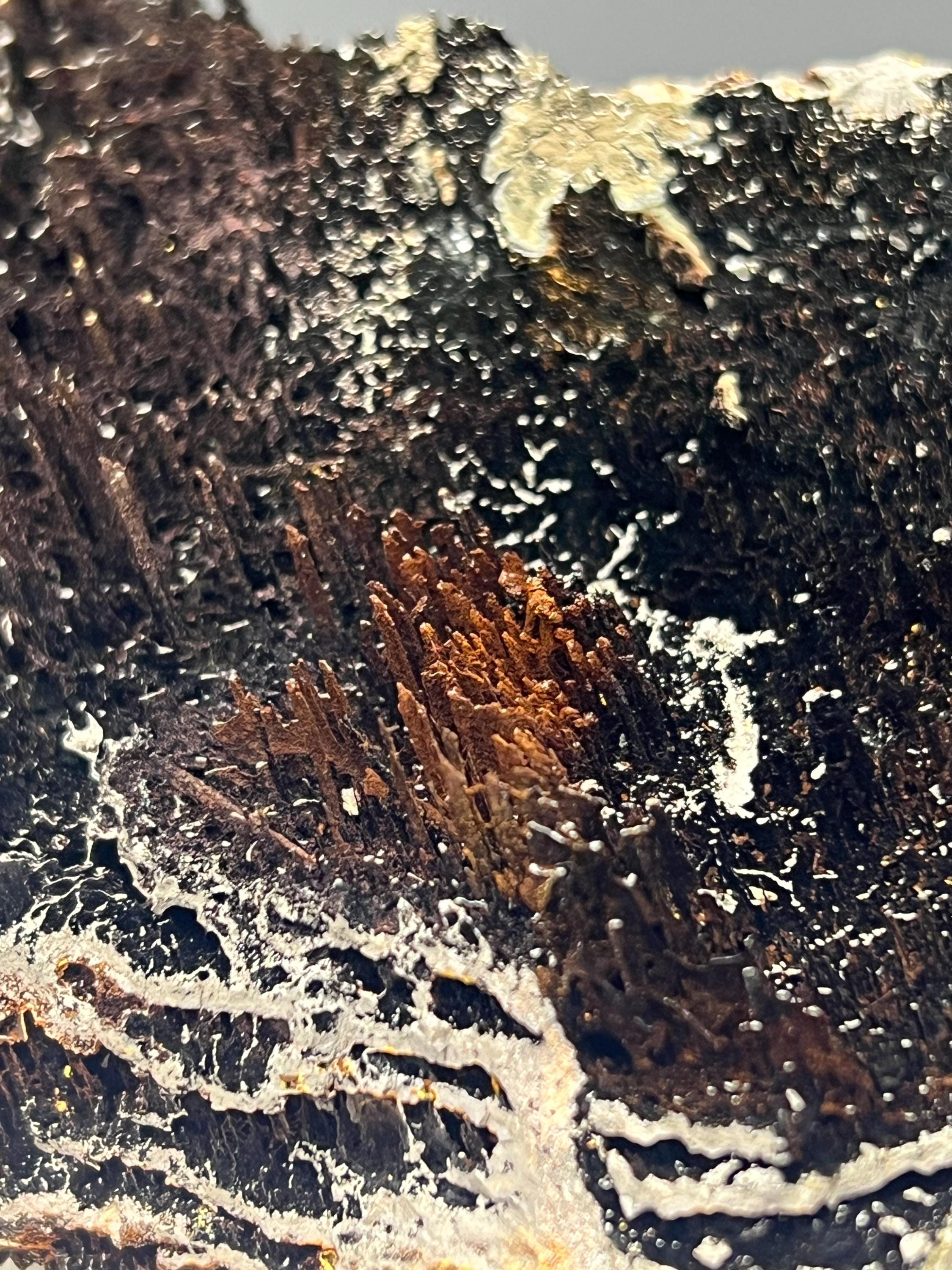Showy, Limonite With Stalactite Goethite Specimen - Crystal Gemstone AE 