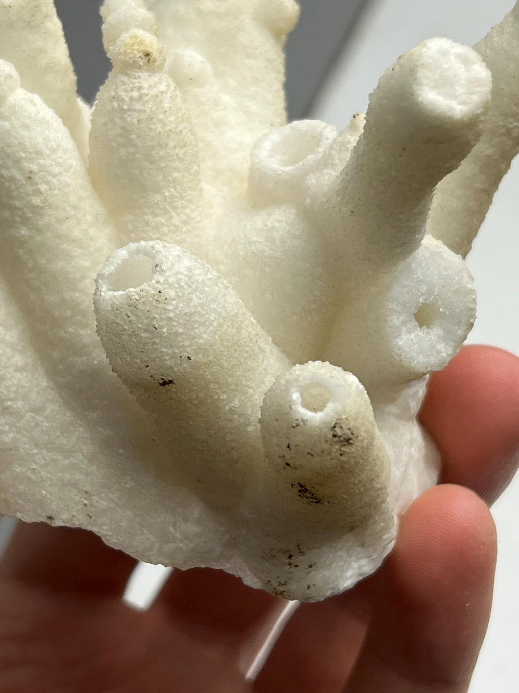 Special Formed Very Showy Stalactite Aragonite Craters, From Turkey - Crystal Gemstone AE 
