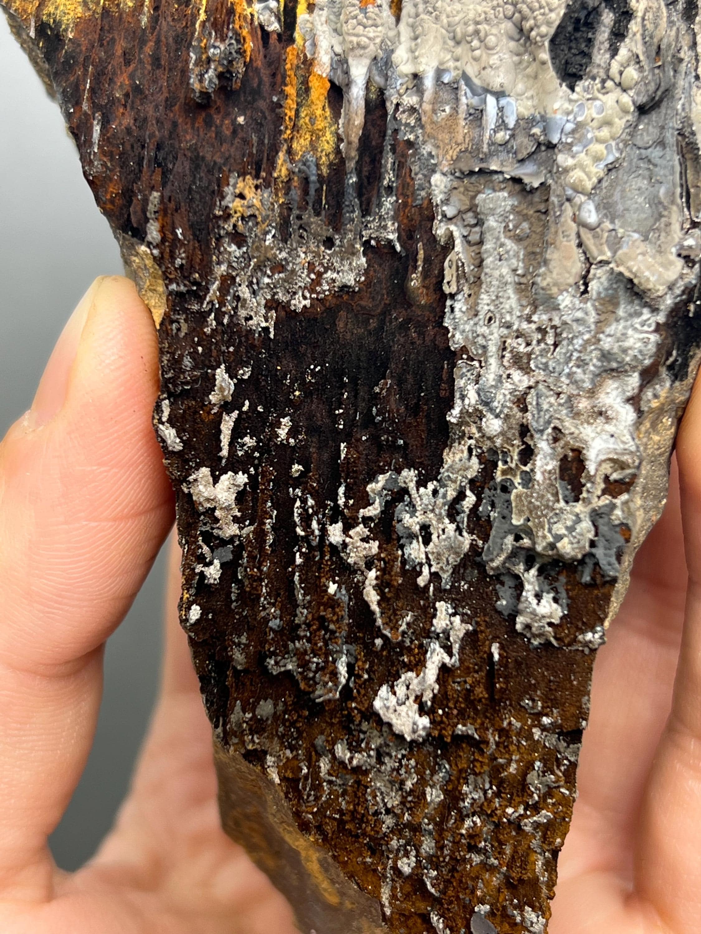 Special Quality Limonite And Specularite On Stalactite Goethite - Crystal Gemstone AE 