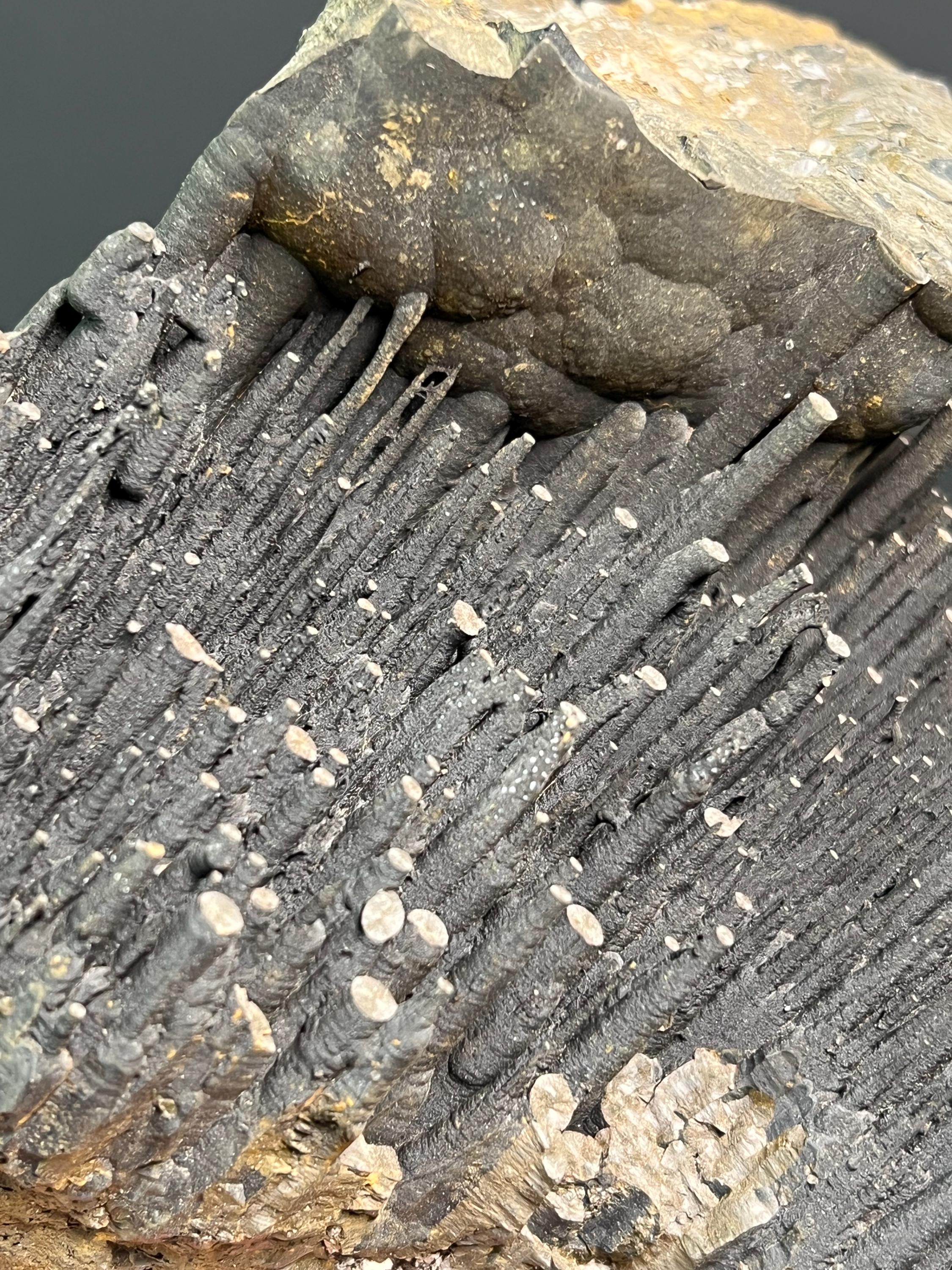 Museum Grade Stalactite Goethite Specimen - Crystal Gemstone AE 