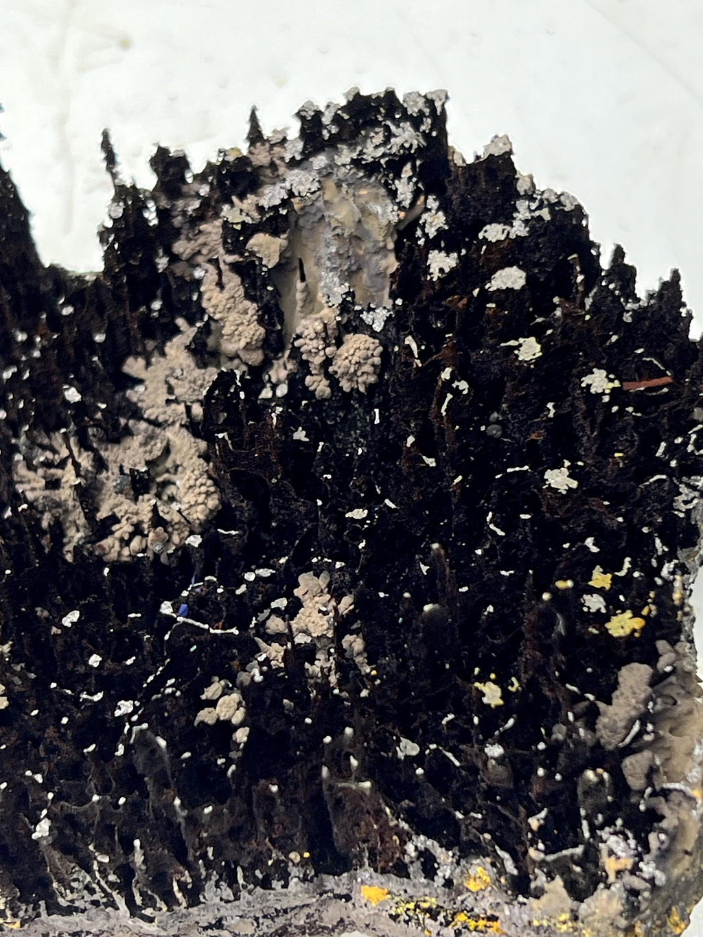 Museum Grade, Very Showy Limonite And Specularite With Stalactite Goethite Specimen - Crystal Gemstone AE 