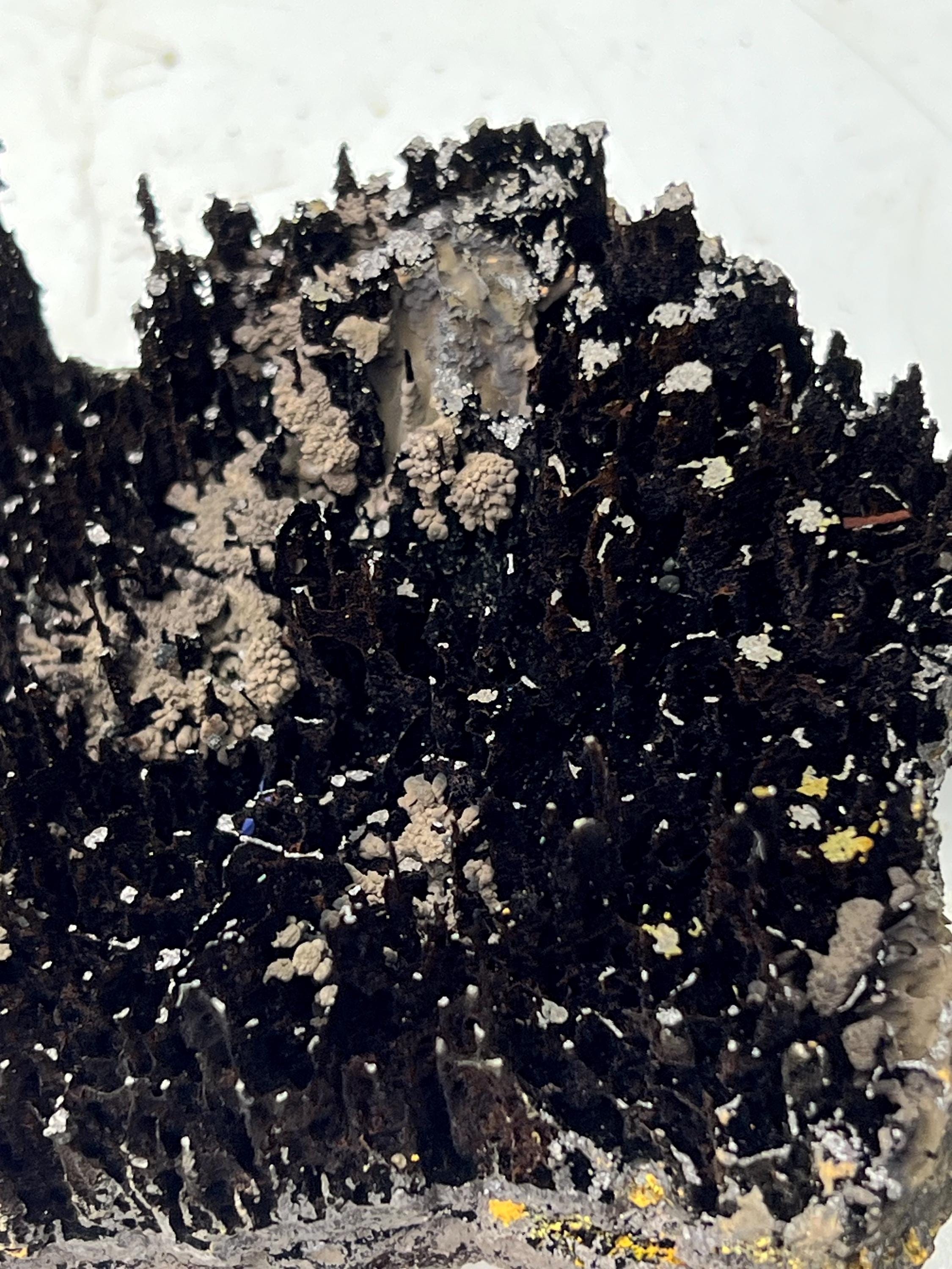 Museum Grade, Very Showy Limonite And Specularite With Stalactite Goethite Specimen - Crystal Gemstone AE 