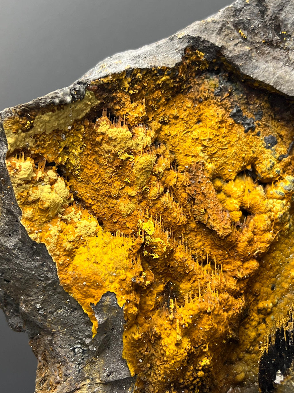 Museum Quality, Very Special And Showy Limonite With Stalactite Goethite - Crystal Gemstone AE 