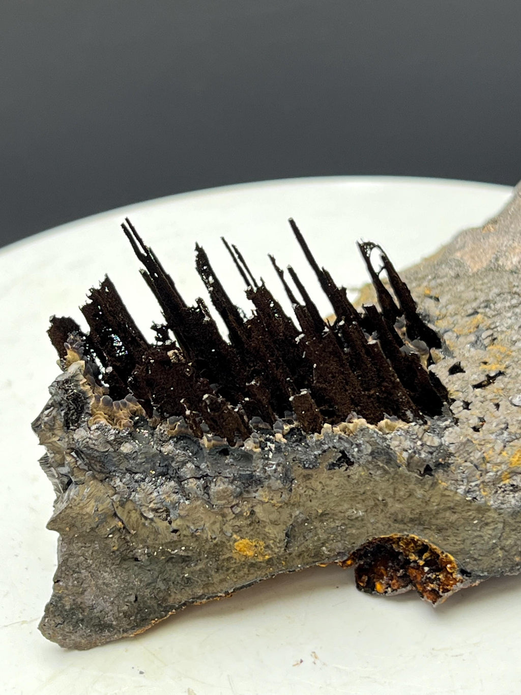 Very Showy Limonite With Stalactite Goethite Specimen - Crystal Gemstone AE 