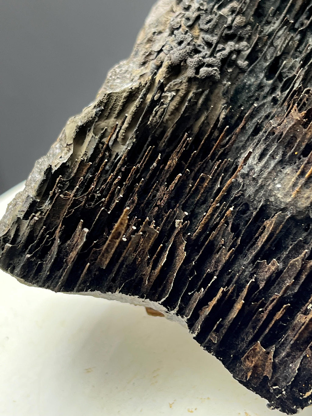 Very Showy Limonite With Stalactite Goethite Specimen - Crystal Gemstone AE 