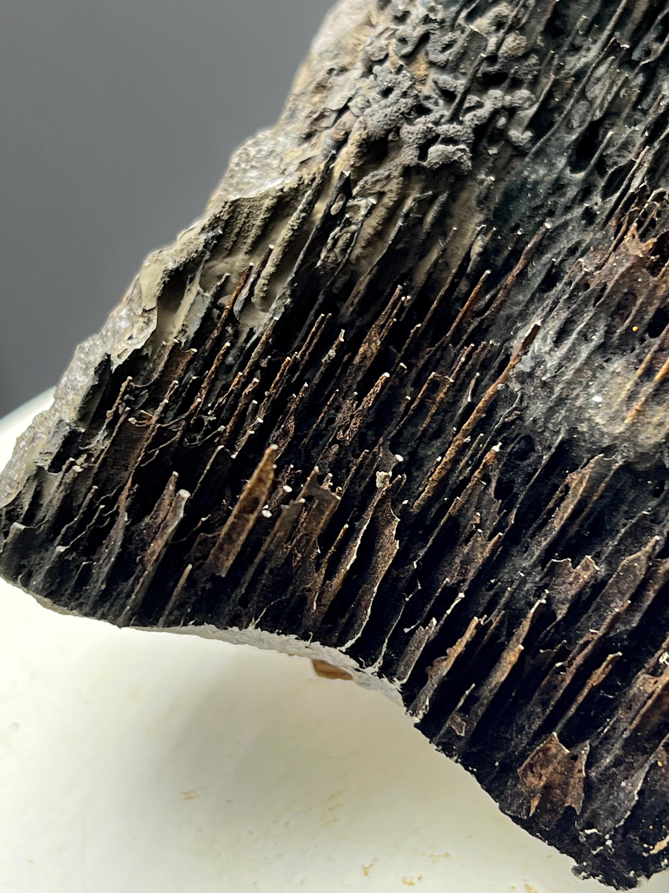 Very Showy Limonite With Stalactite Goethite Specimen - Crystal Gemstone AE 