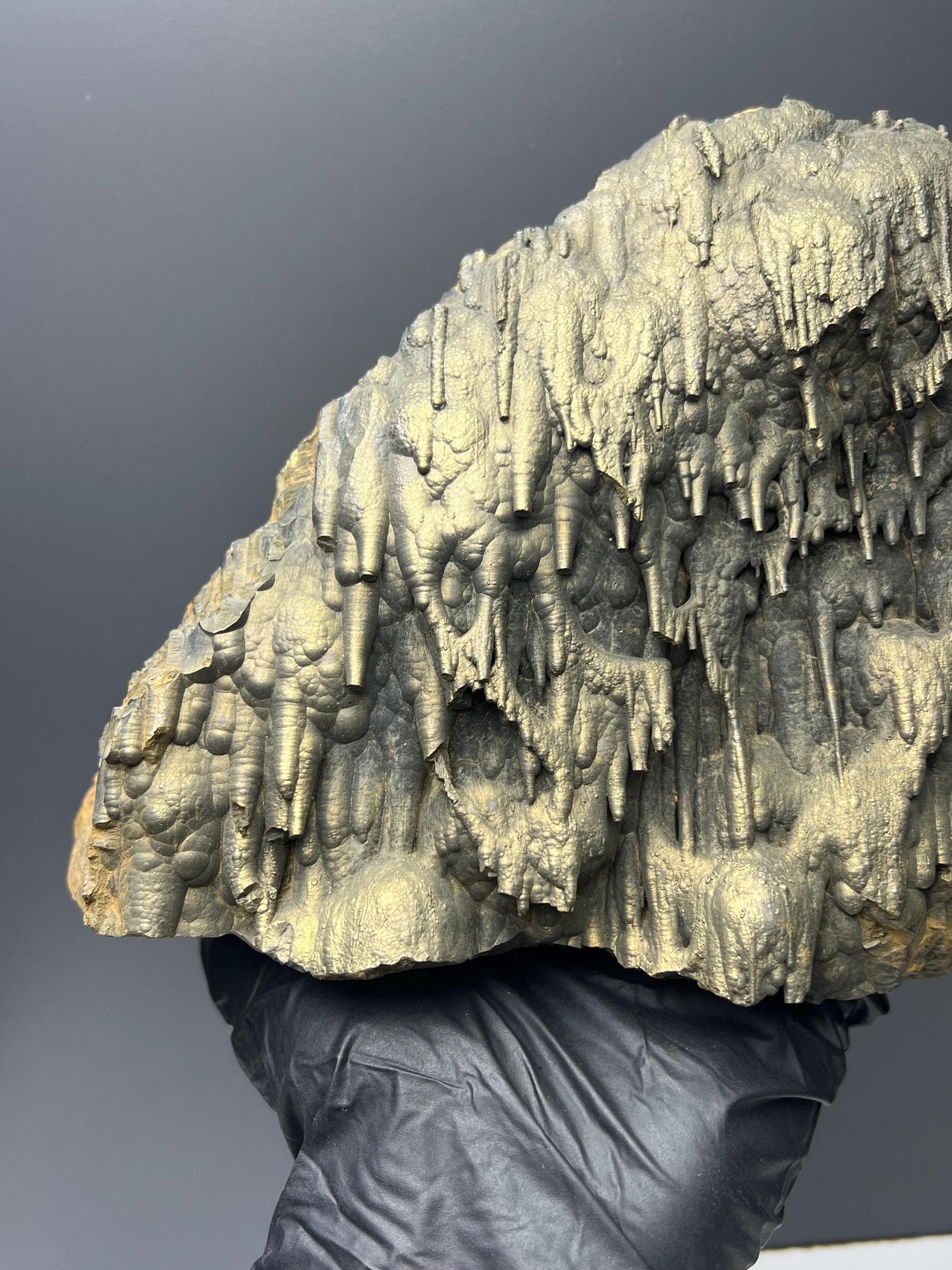 Museum Quality Very Showy Golden Color Stalactite Bridges Goethite Specimen - Crystal Gemstone AE 