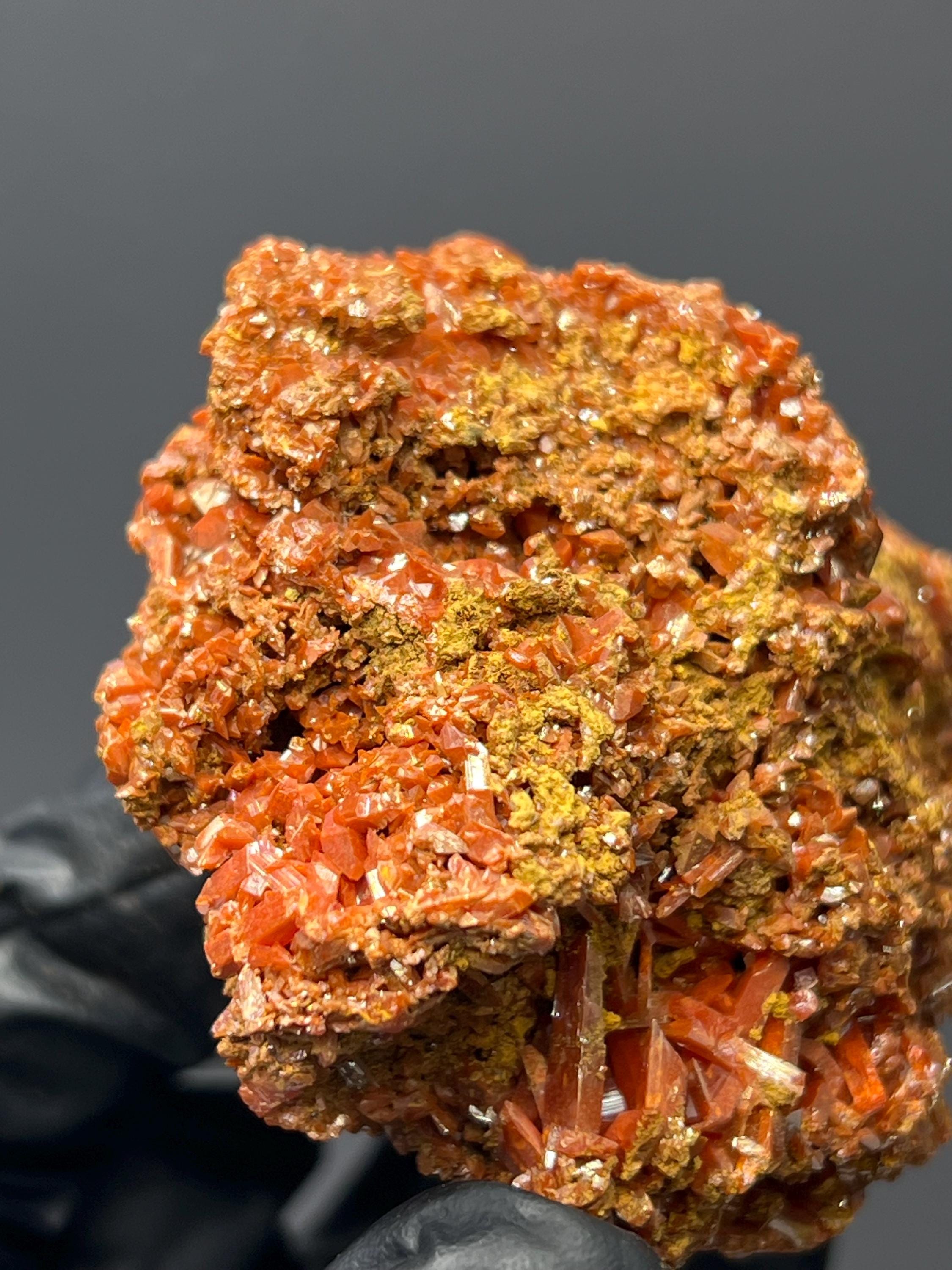 Adelaide Mine Crocoite Specimen - Tasmania Red Crystals - Crystal Gemstone AE 