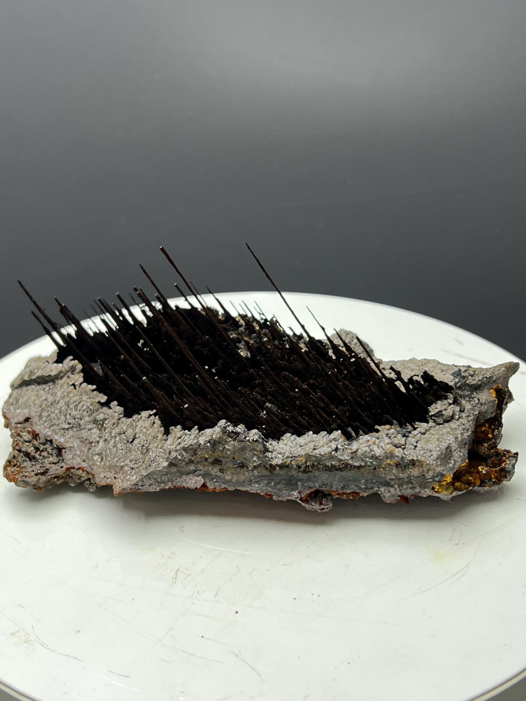 Museum Grade, Limonite With Stalactite Forest Goethite, For Special Collection - Crystal Gemstone AE 