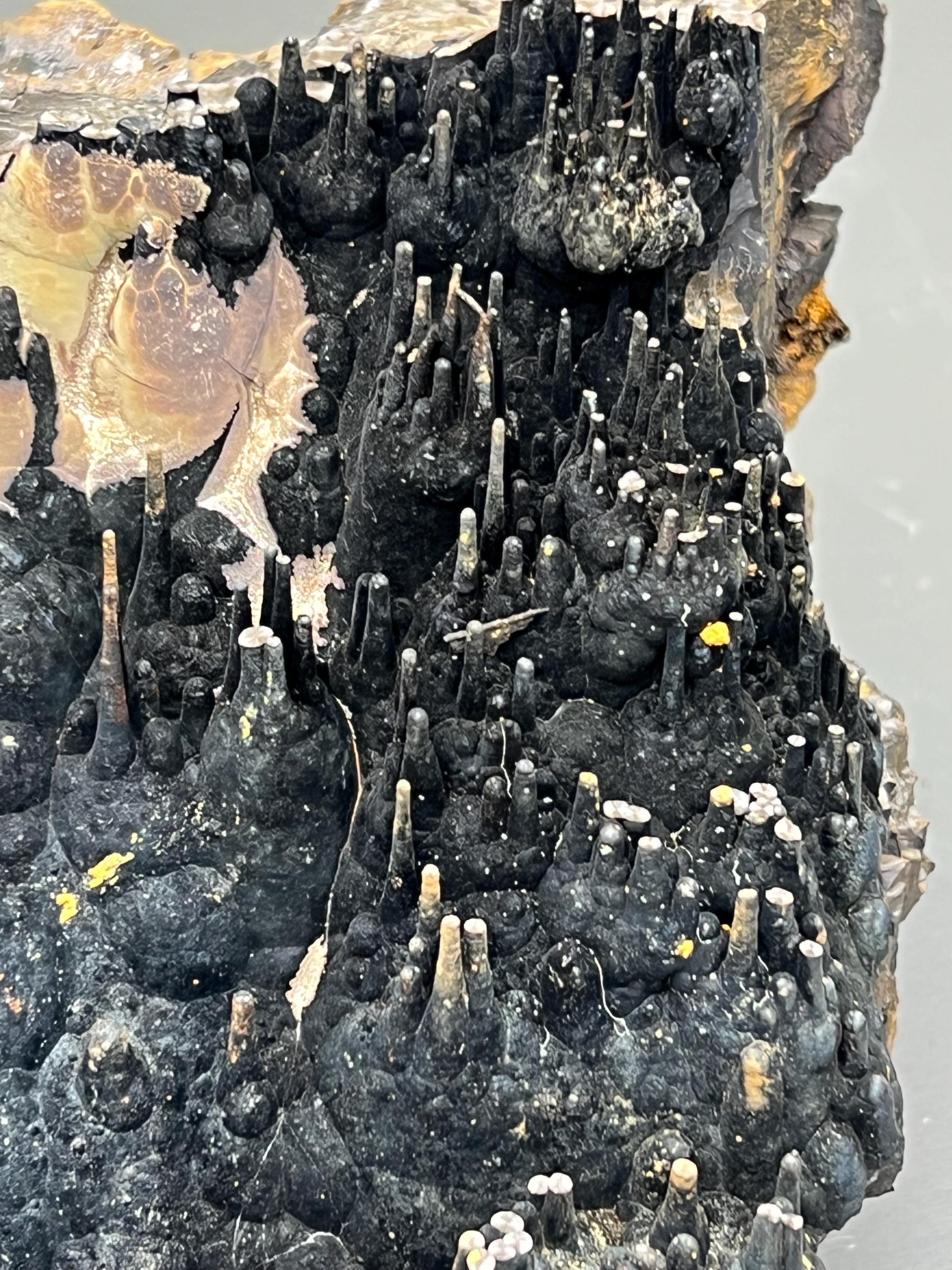 Large Size Limonite And Specularite On Stalactite Goethite - Crystal Gemstone AE 