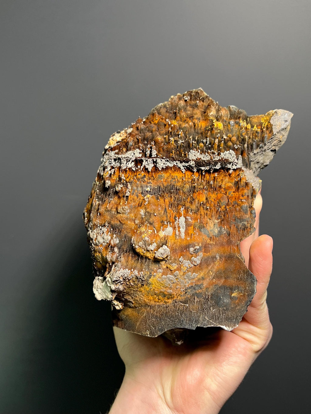 Museum Grade, Limonite And Specularite On Stalactite Goethite, 3,9kg - Crystal Gemstone AE 