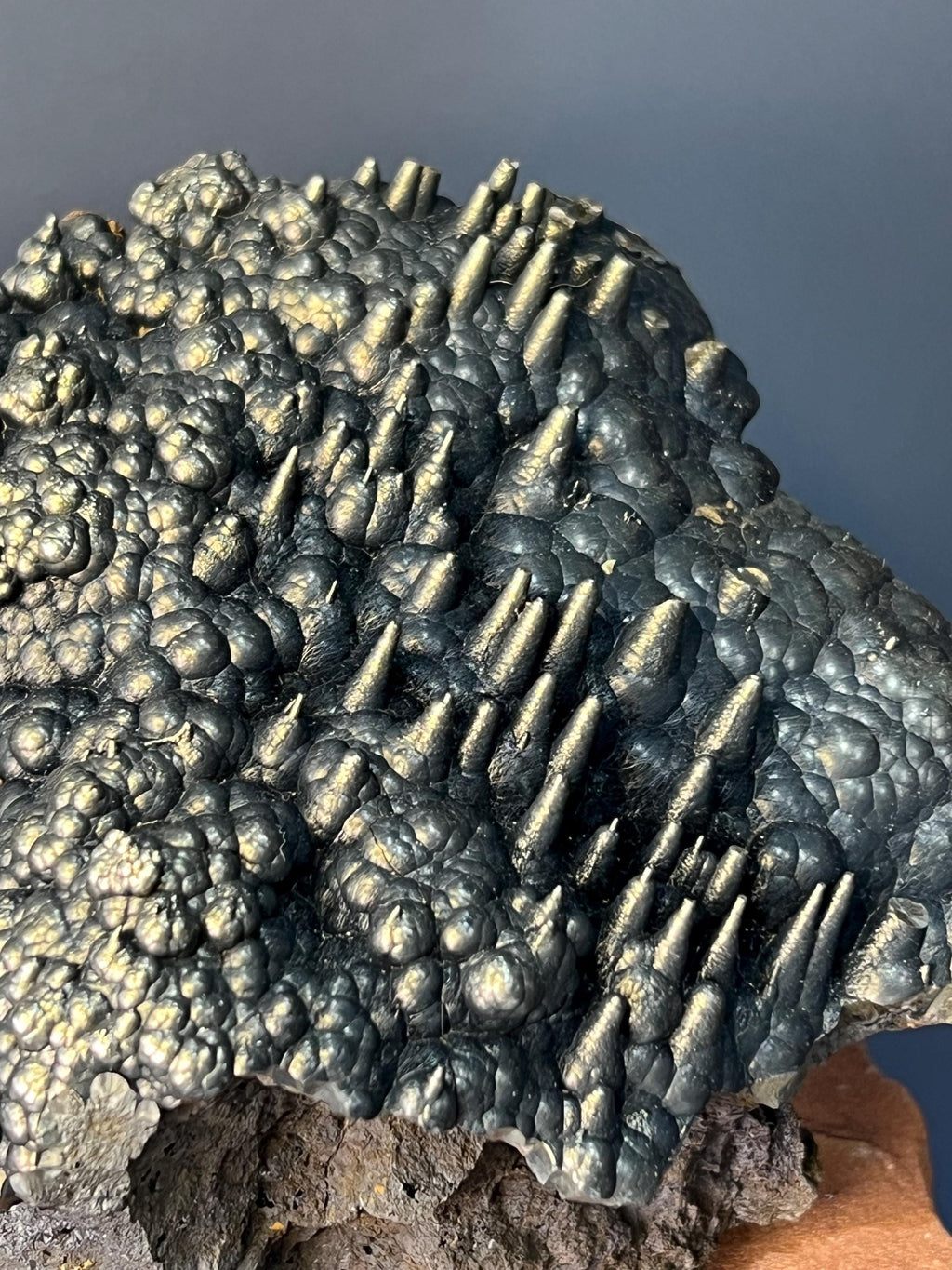 Museum Grade! Very Showy Golden Color Stalactite And Botryoidal Formation Goethite Specimen - Crystal Gemstone AE 