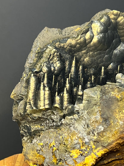 Museum Grade, Very Showy Golden Color Stalactite Goethite Specimen - Crystal Gemstone AE 